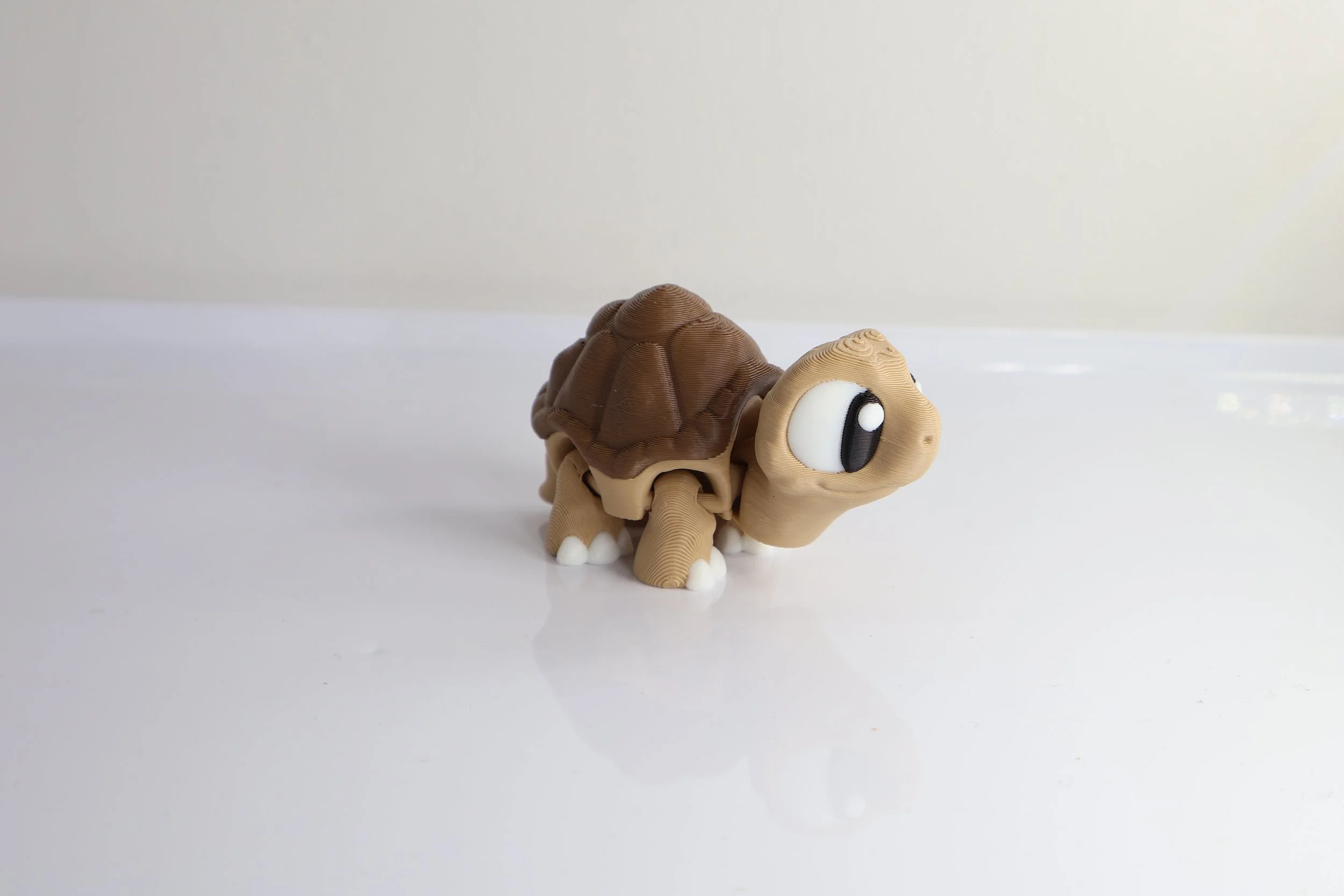 Tortoise-S_Brown.jpg