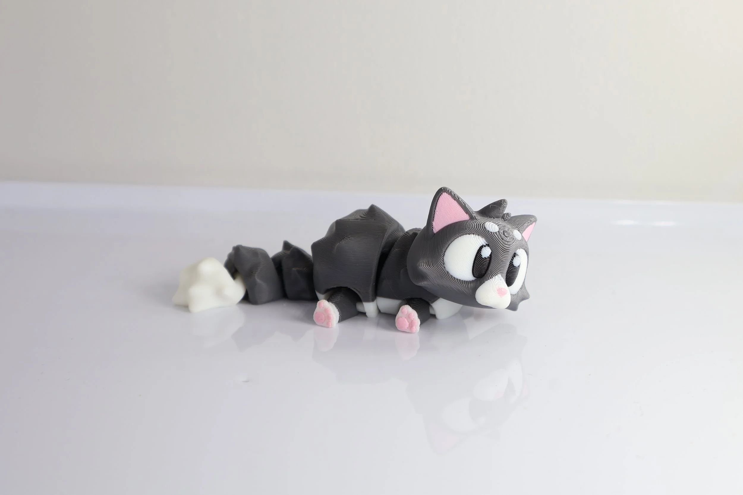 Cat-S.jpg