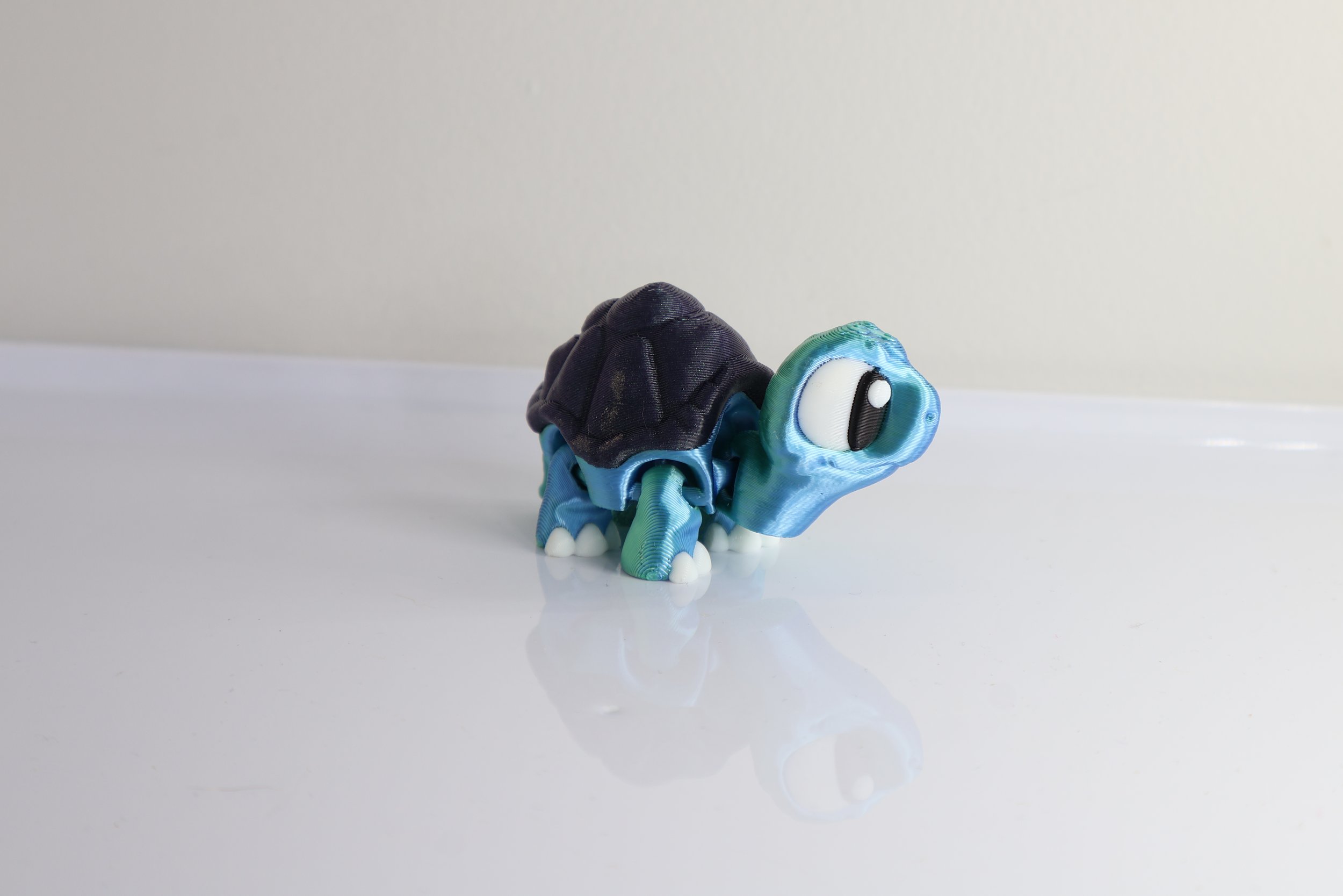 Tortoise-S_Blue-Green_8c332e86-f486-4751-a997-50be1162c53f.jpg