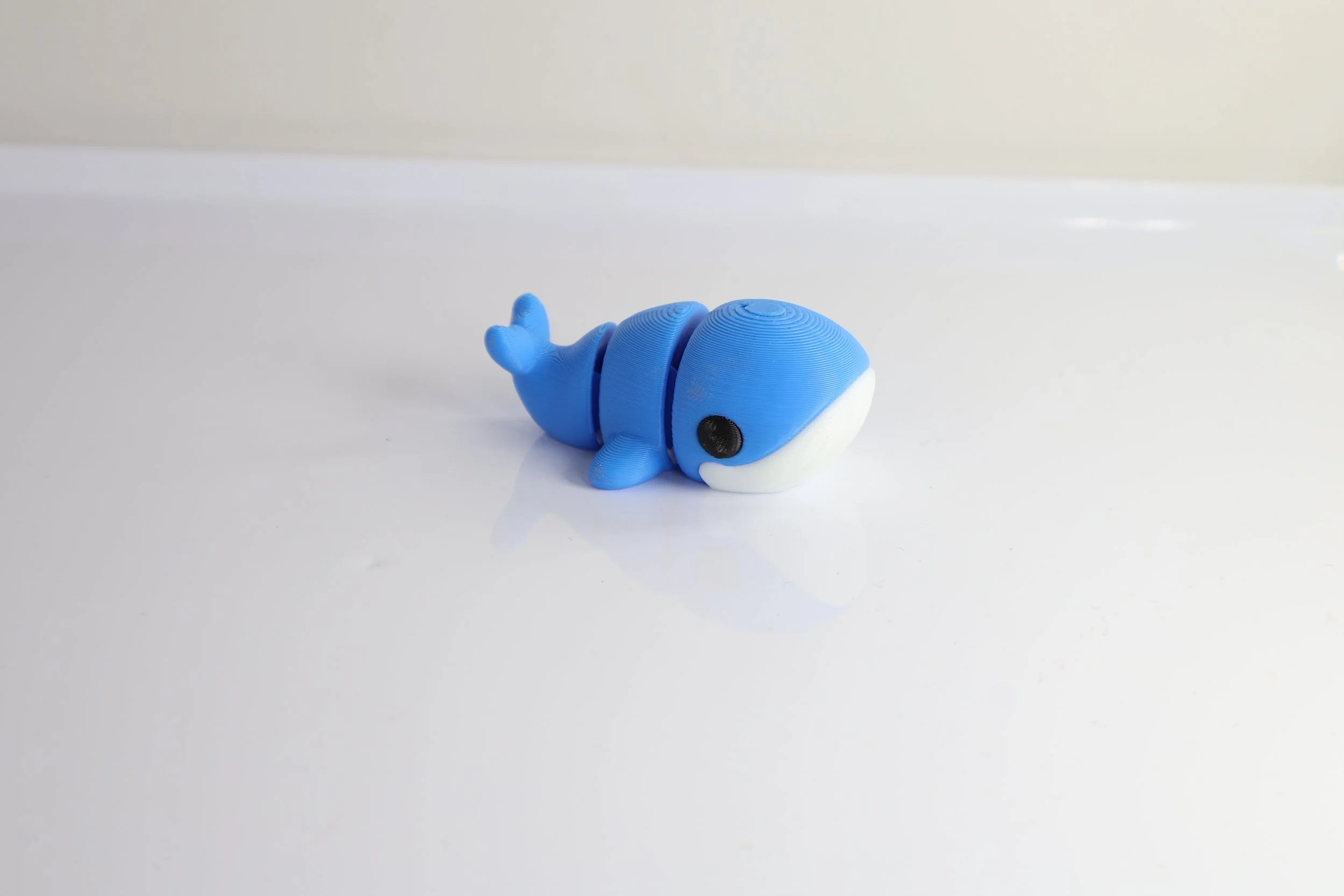 Whale-S.jpg