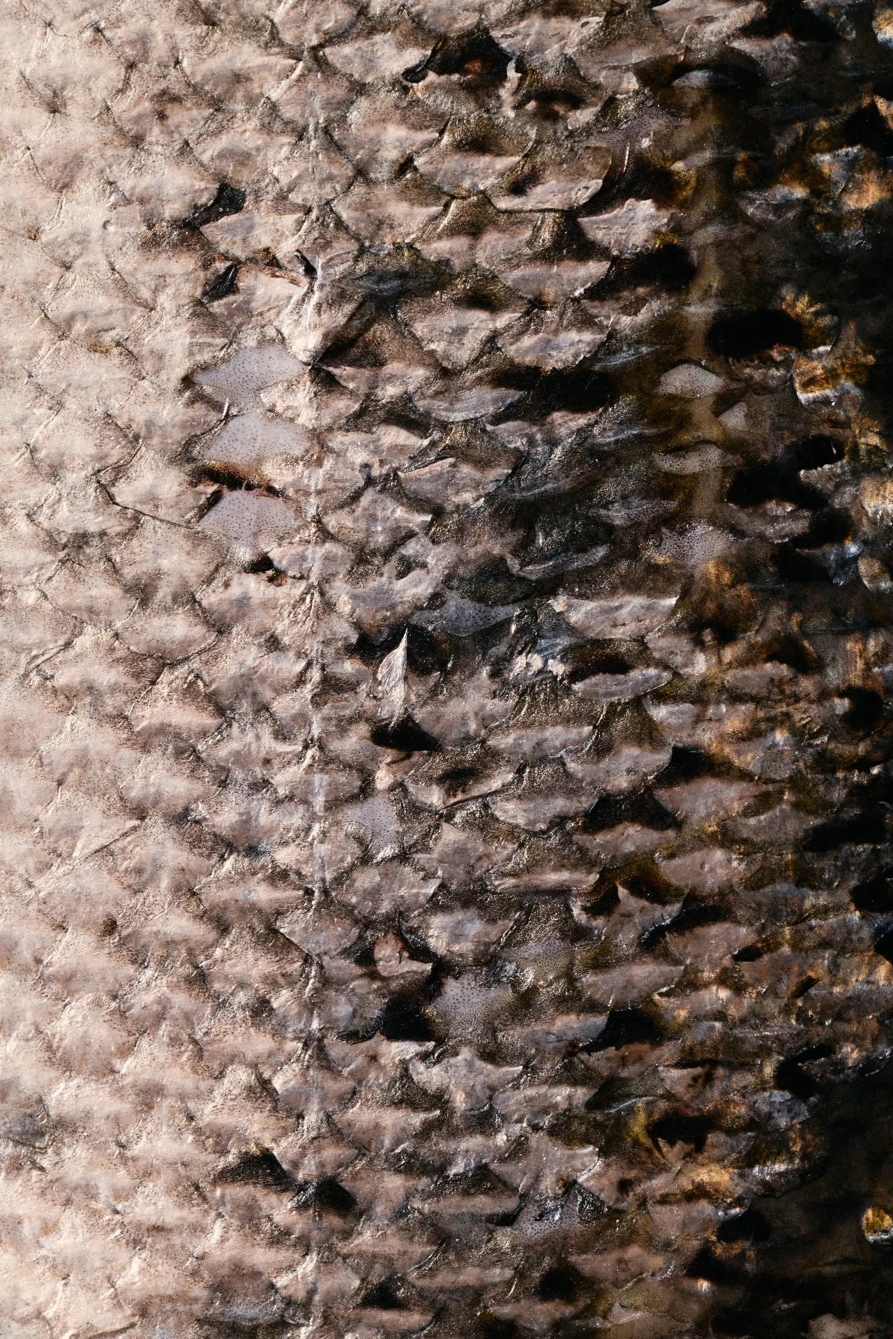 there is more truth in texture than perfection