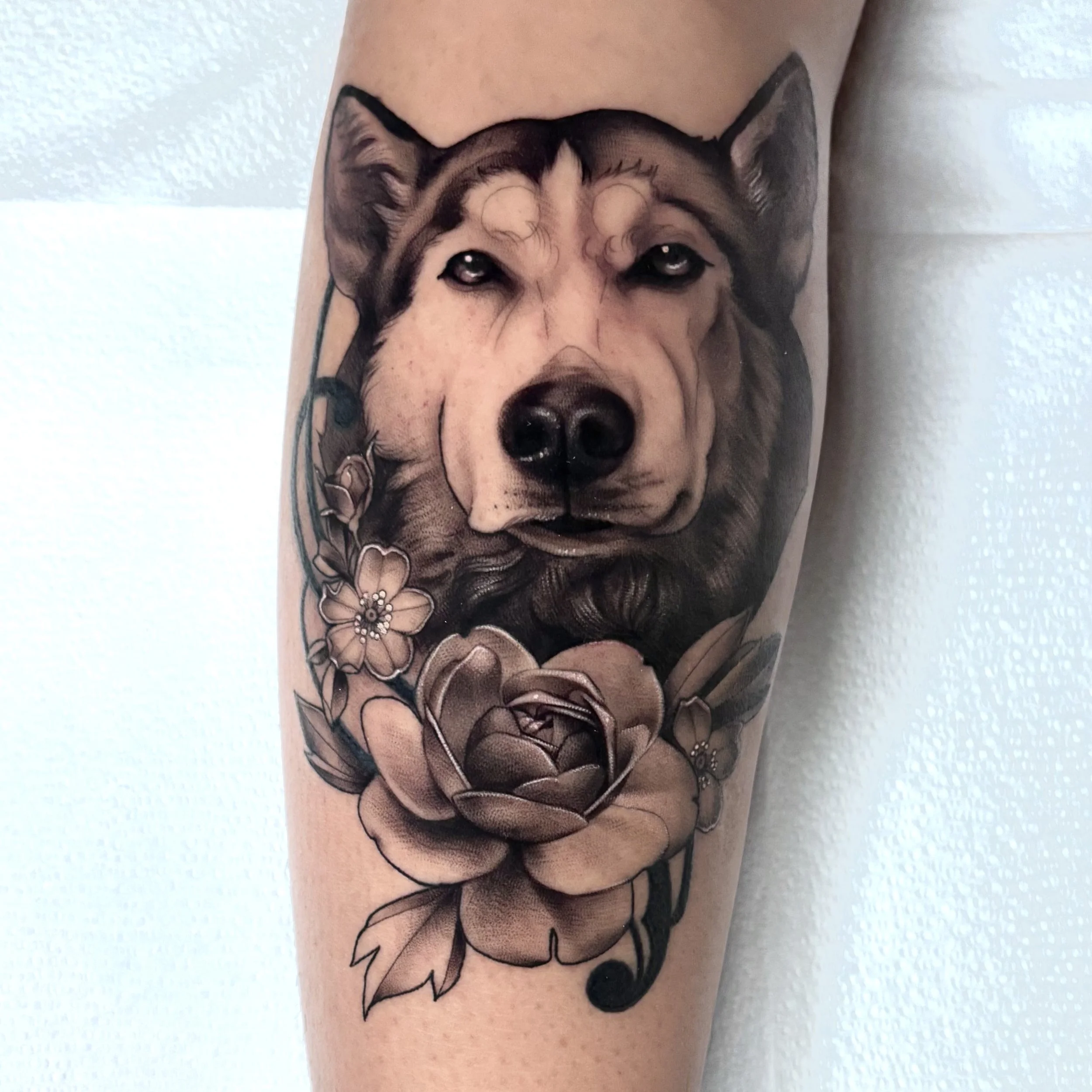 Black and gray dog portrait tattoo with flower on forearm