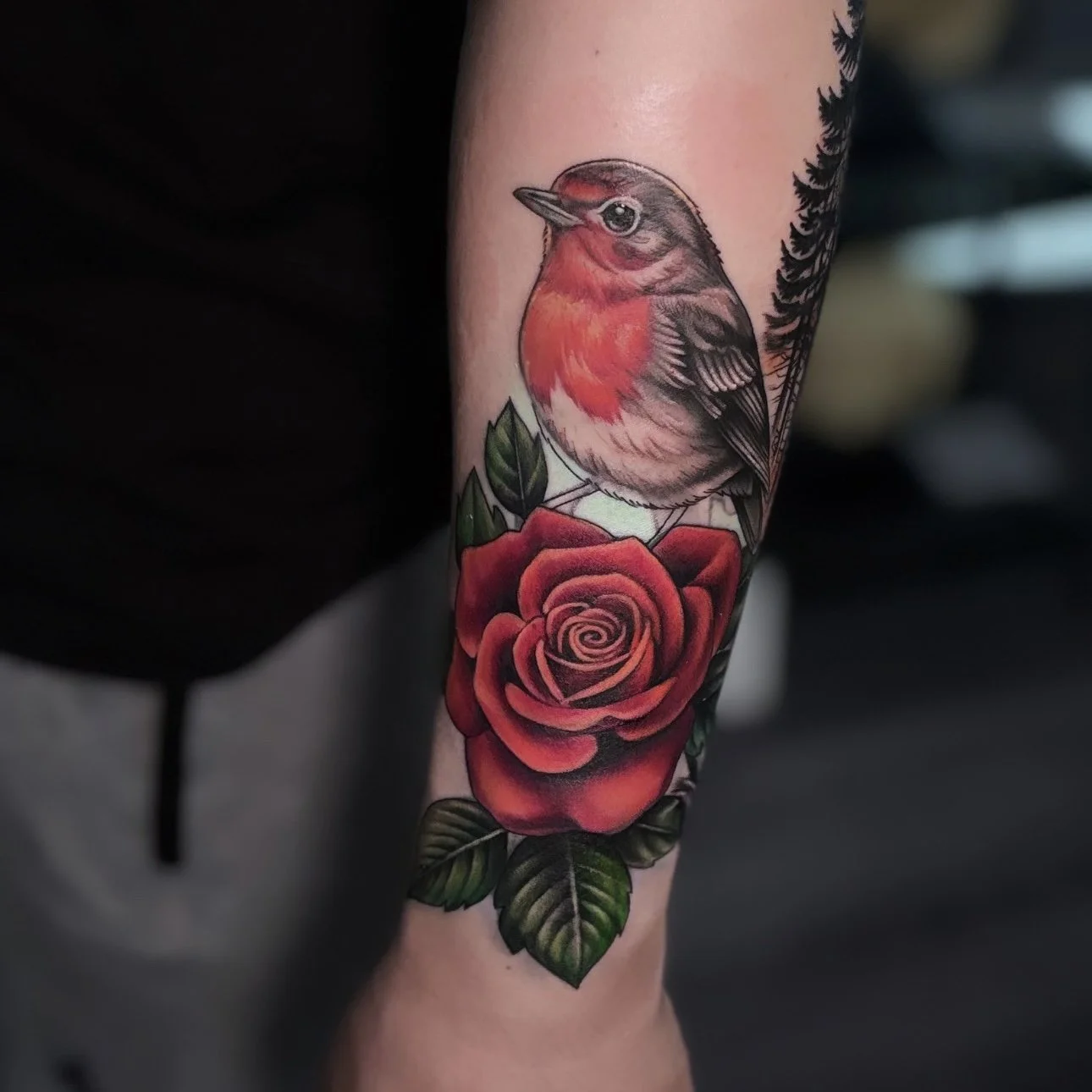 Color neo-traditional bird and rose tattoo on forearm
