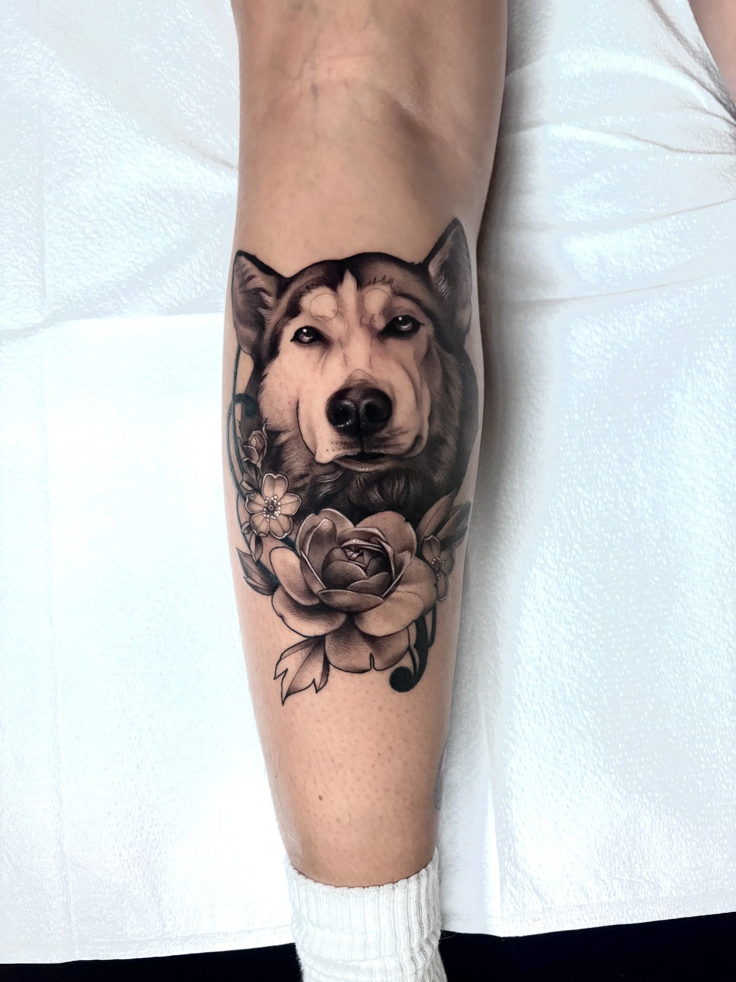 Black and gray dog portrait tattoo on forearm
