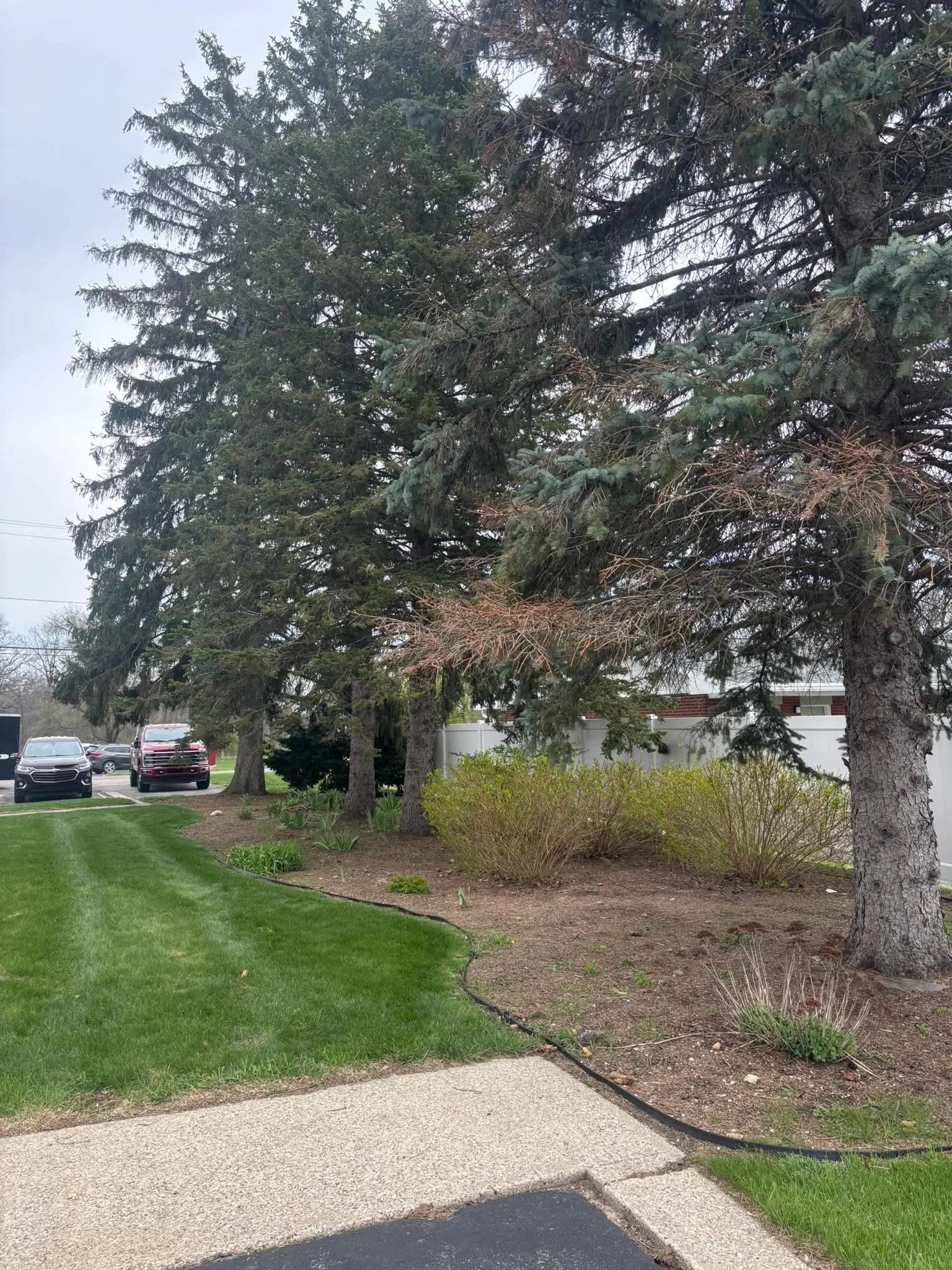 View of a landscaped area with lush green grass, small plants, and a gravel pathway bordered by bushes and trees, with parked cars in the background under an overcast sky.