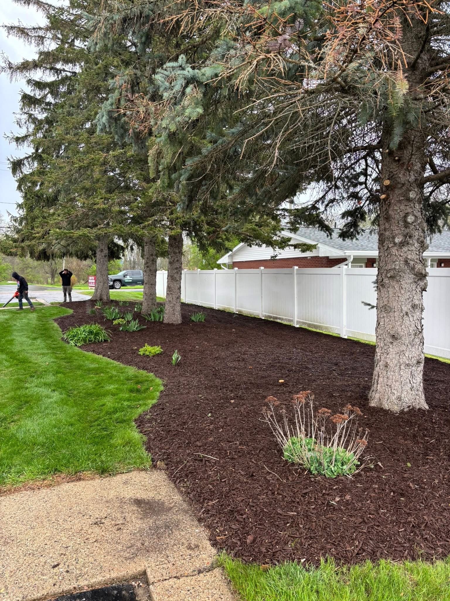 A landscaped yard with newly planted trees, mulch, and a white privacy fence. Two people are working in the background, one watering plants and the other standing near a tree.