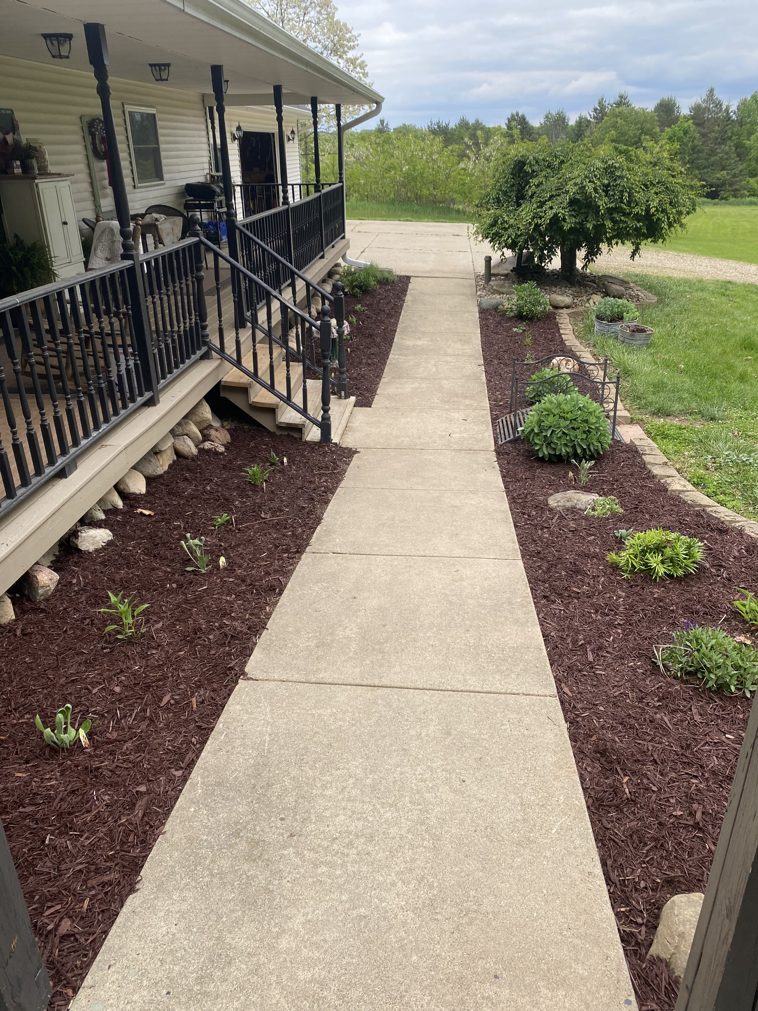 A concrete sidewalk running through a landscaped yard with mulch and small plants, leading to a porch and yard with grass, trees, and cloudy sky in the background.