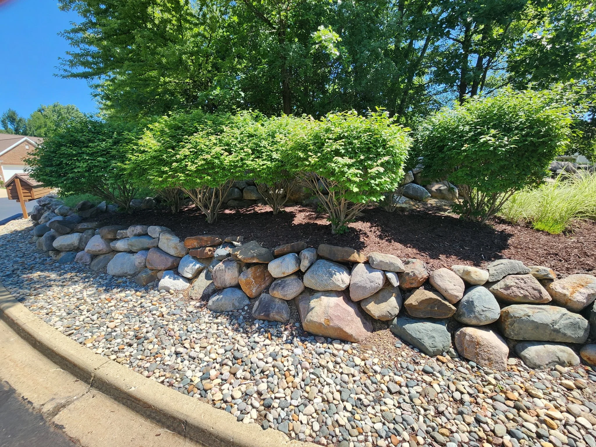 A garden bed with trimmed green bushes, a large tree in the background, bordered by rocks, with a sidewalk and residential houses nearby.