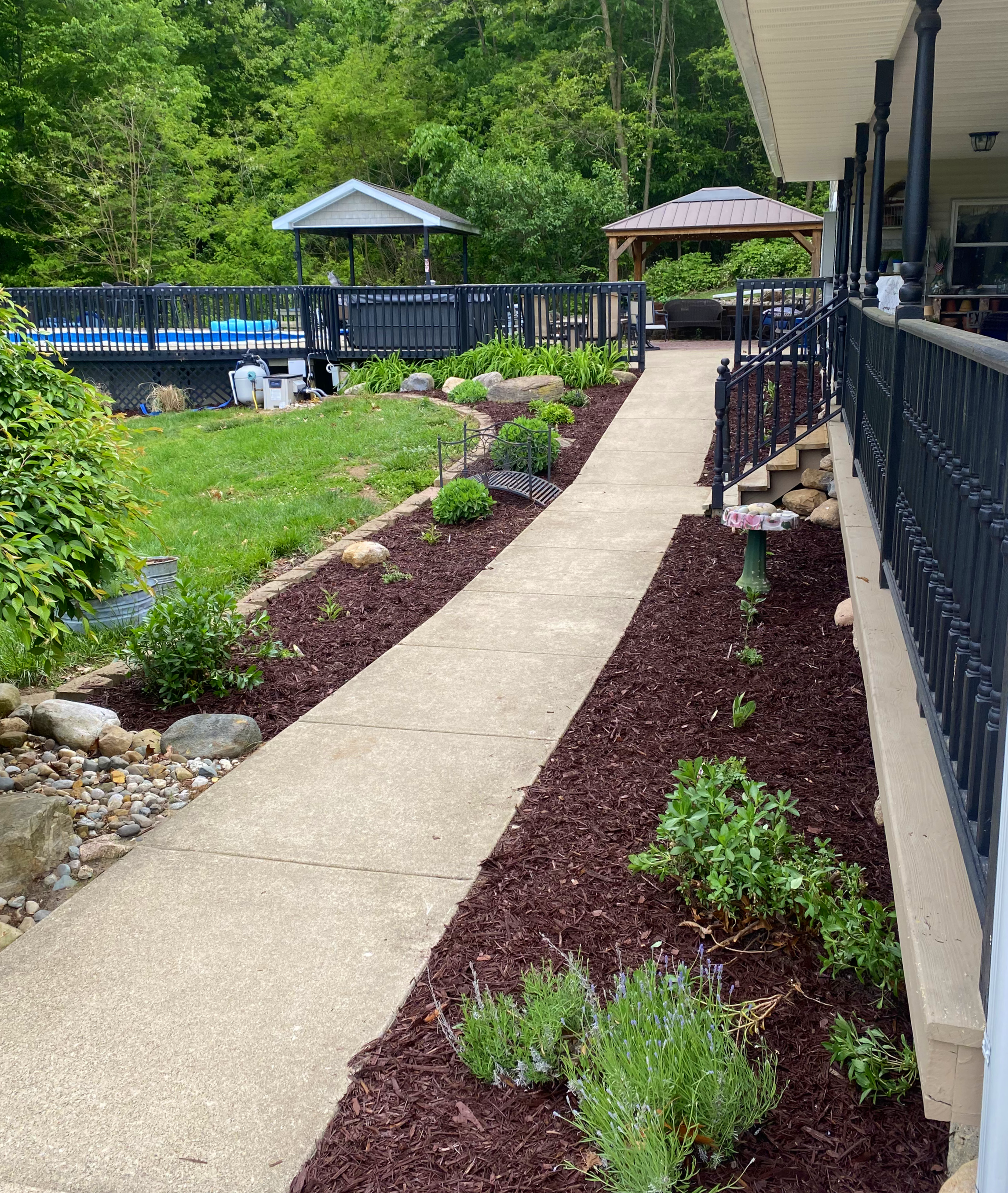 A backyard with a concrete walkway, landscaped garden beds with young plants and mulch, a wooden and metal deck with outdoor furniture, two gazebos, and a pool in the background surrounded by lush green trees.