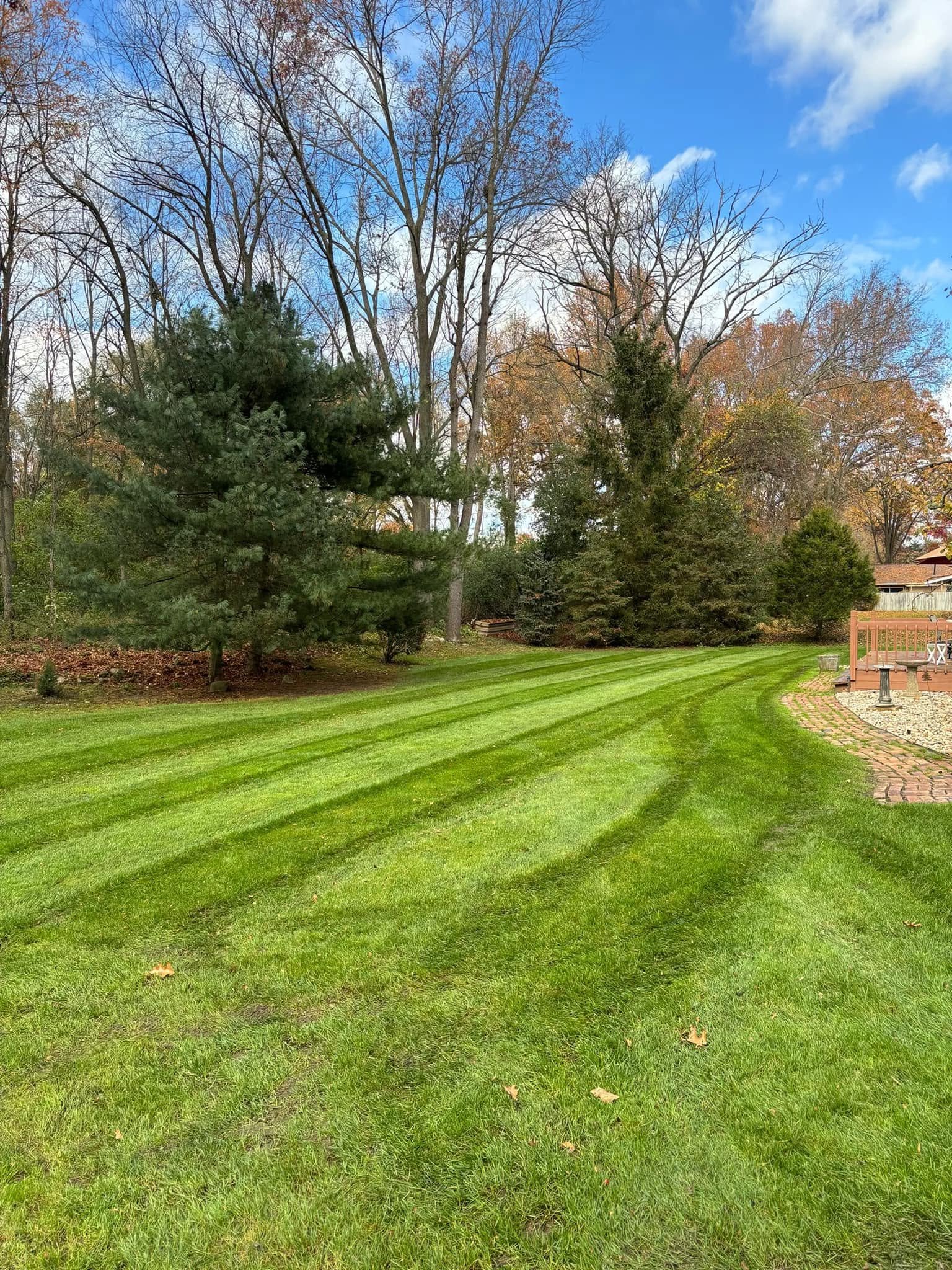 A well-maintained backyard with a lush green lawn, several trees with varying foliage, and a small paved patio area with outdoor furniture on the right side, under a partly cloudy blue sky.