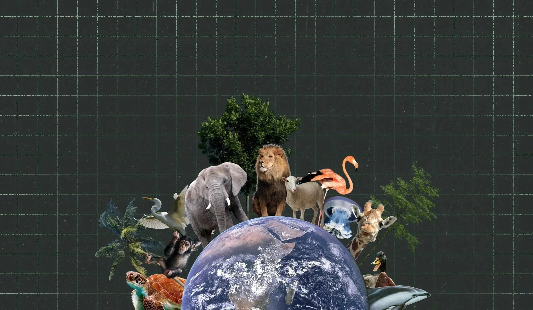 FurMeature