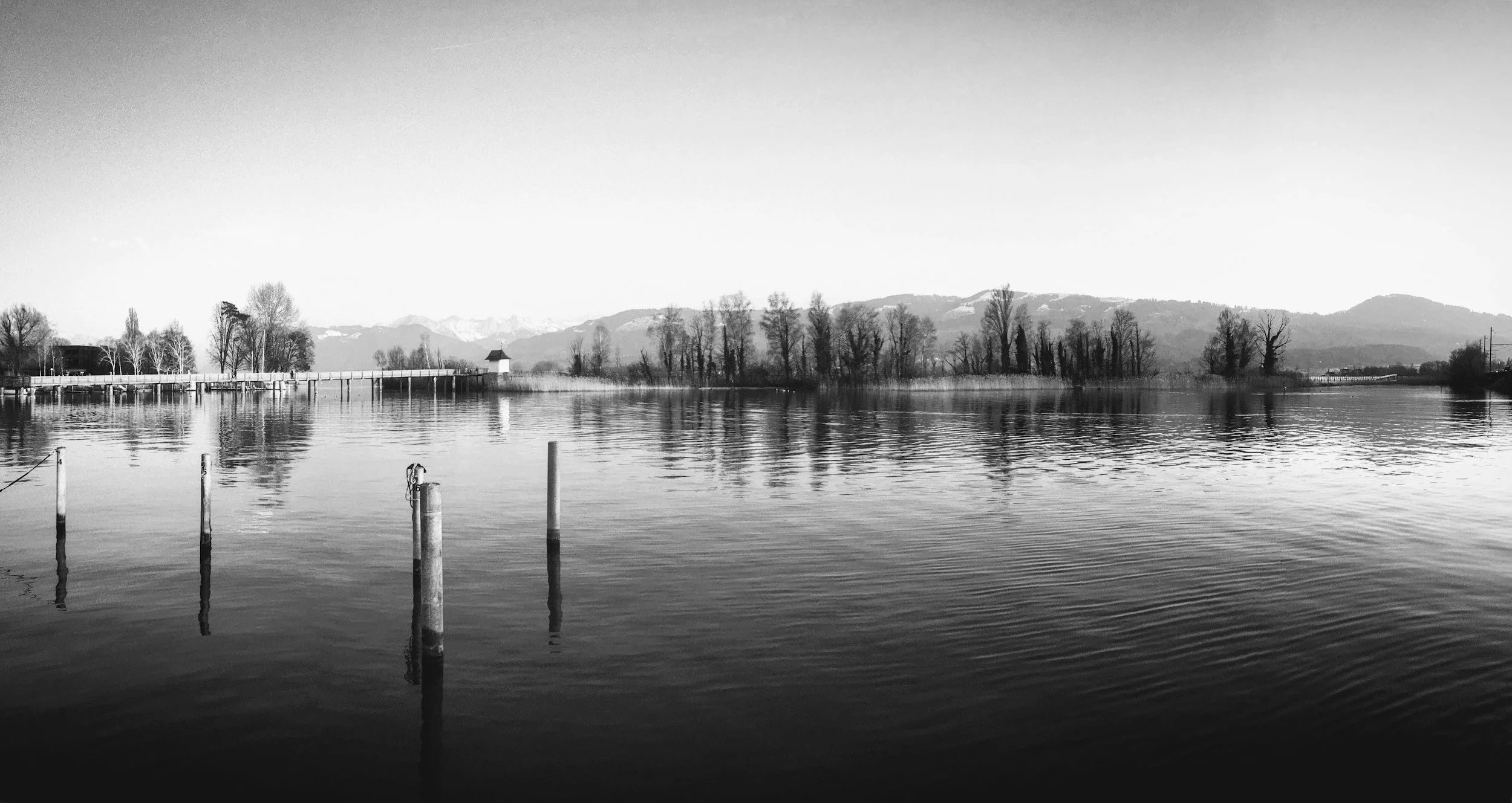 Black and white photo of a calm lake with poles in the water, trees along the shoreline, and hills or mountains in the distance.