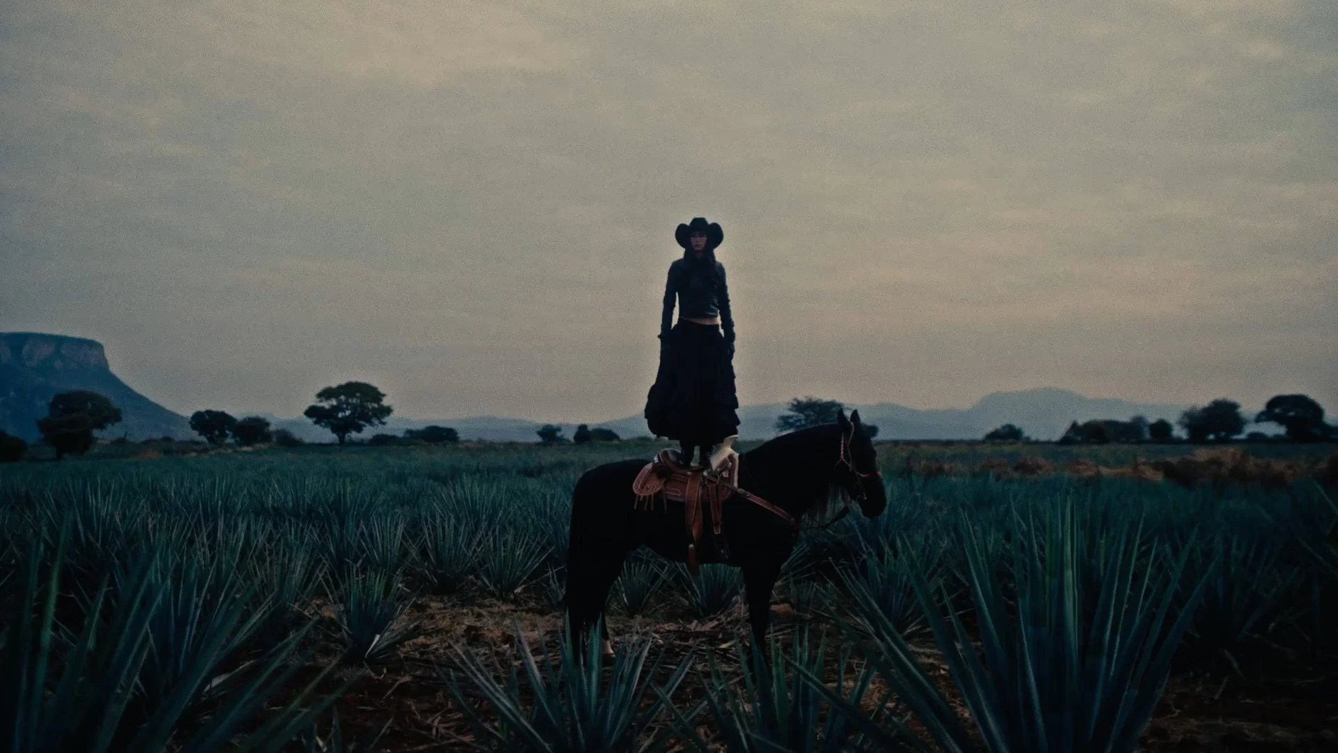 Señora Leona Tequila - Untamed