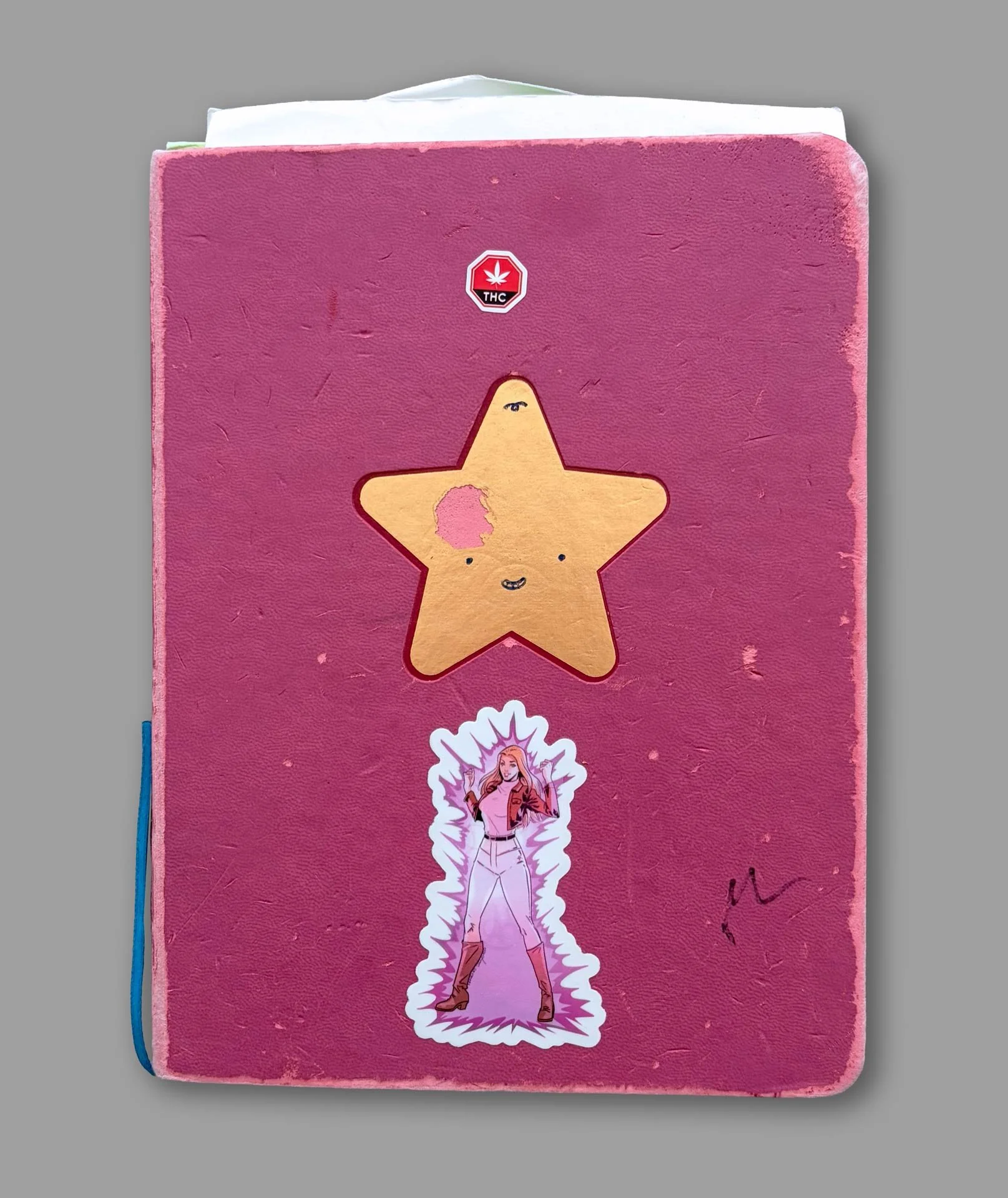 This is the sketchbook I used for this comic. It’s a Steven Universe pink Moleskine with a gold star on the cover. I found it amusing that I created such a bloody horror comic in a sketchbook associated with such a colorful, wholesome series. I was c