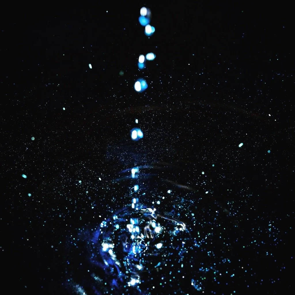 76C5F081-8410-4B1B-815A-0882435305B1_1_105_c.jpeg
