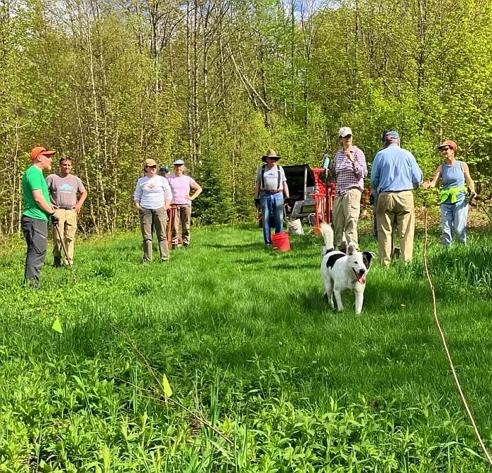 Tree Planting for World Community Land Trust Day