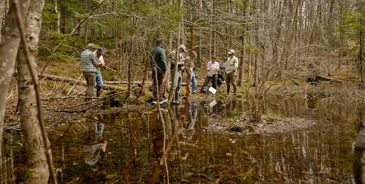 Headwaters explores 200 Shadow Lake Rd in Greensboro