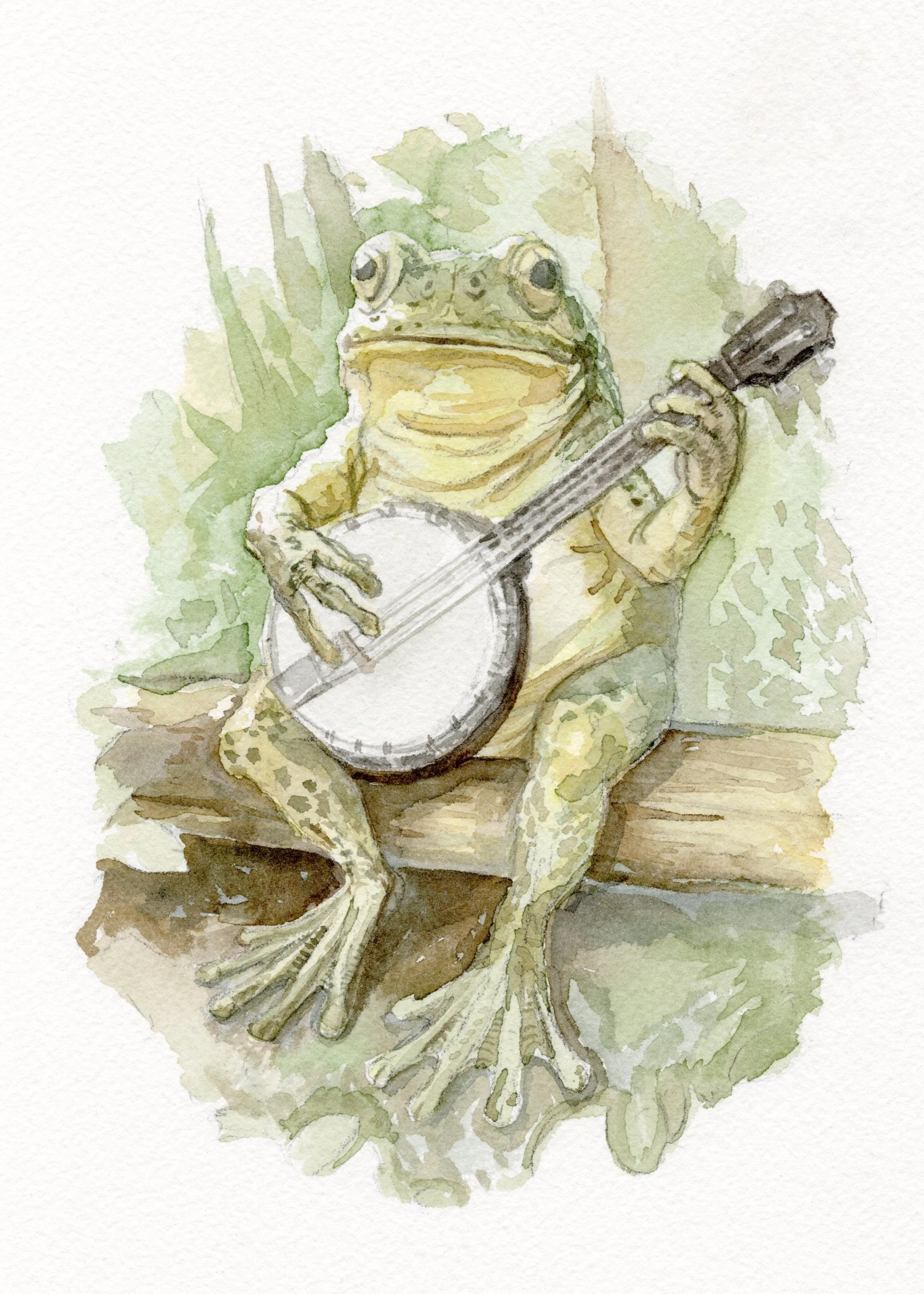 Watercolor illustration of a frog playing a banjo, seated on a wooden surface with leafy green background.