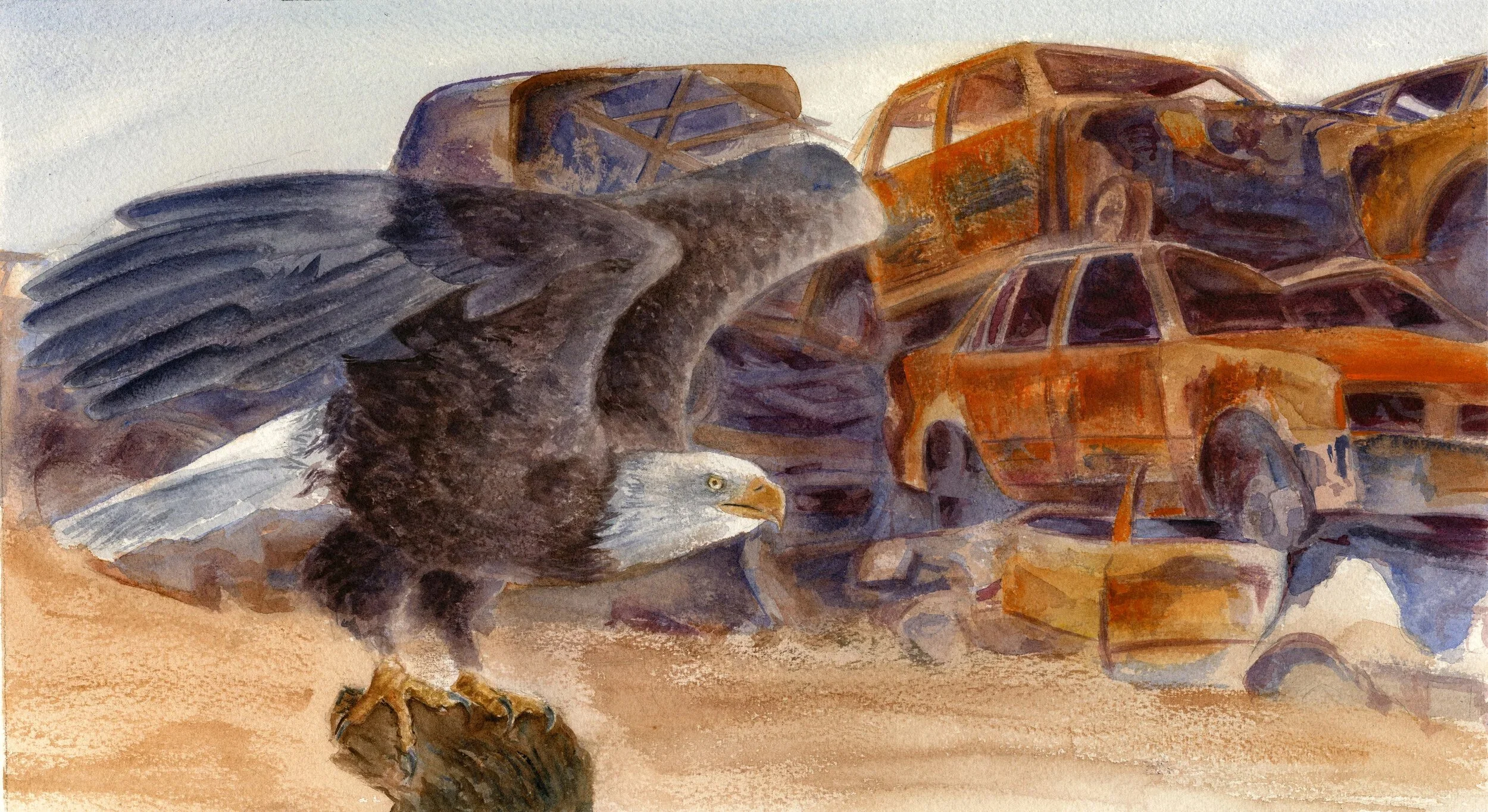 Watercolor painting depicting a bald eagle in front of a pile of rusted, abandoned cars.