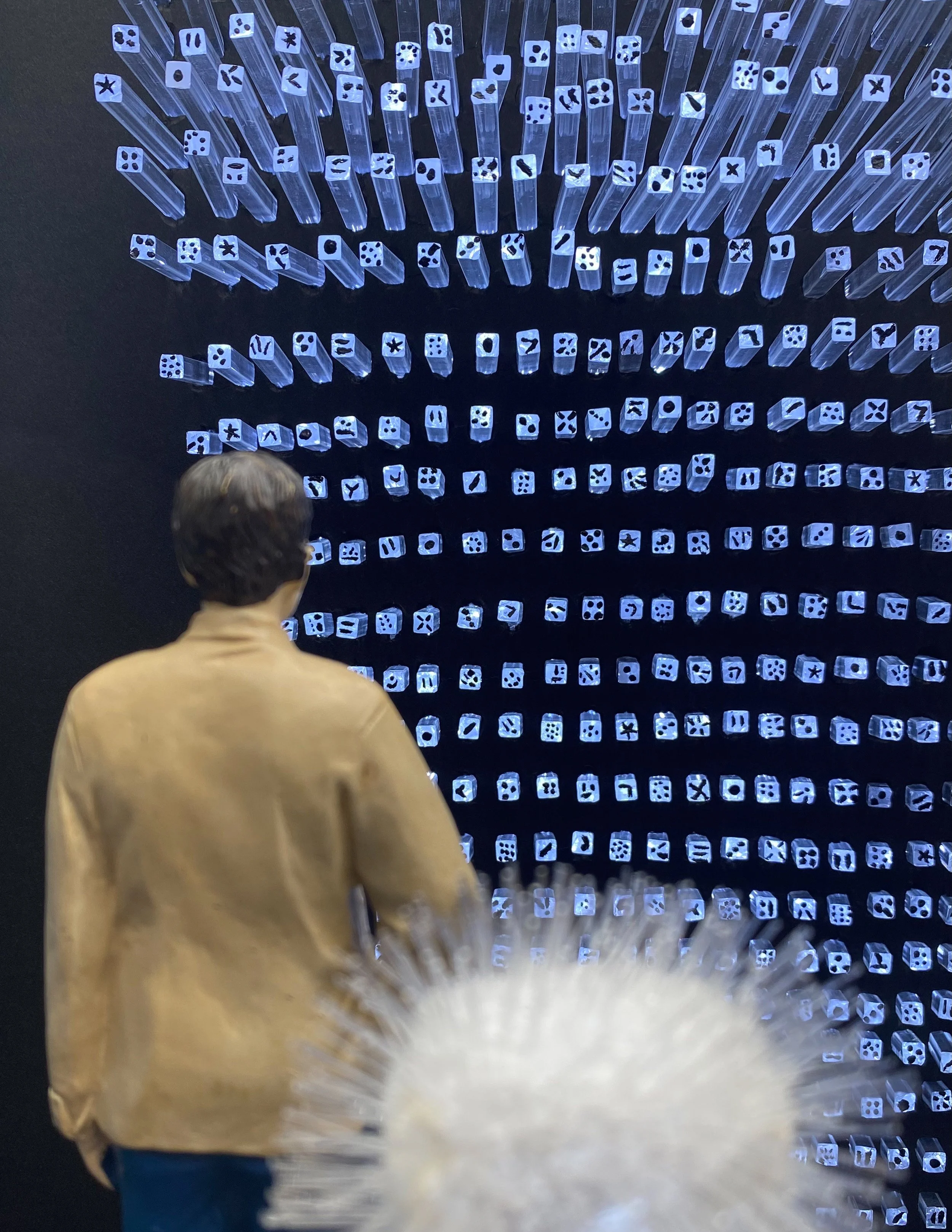 Close-up of a collection of acrylic rods protruding a black wall glowing white  with black seed-like dots,  viewed from above. The lower part of a person's head and shoulder are partially visible in the foreground with a dandelion-like structure.