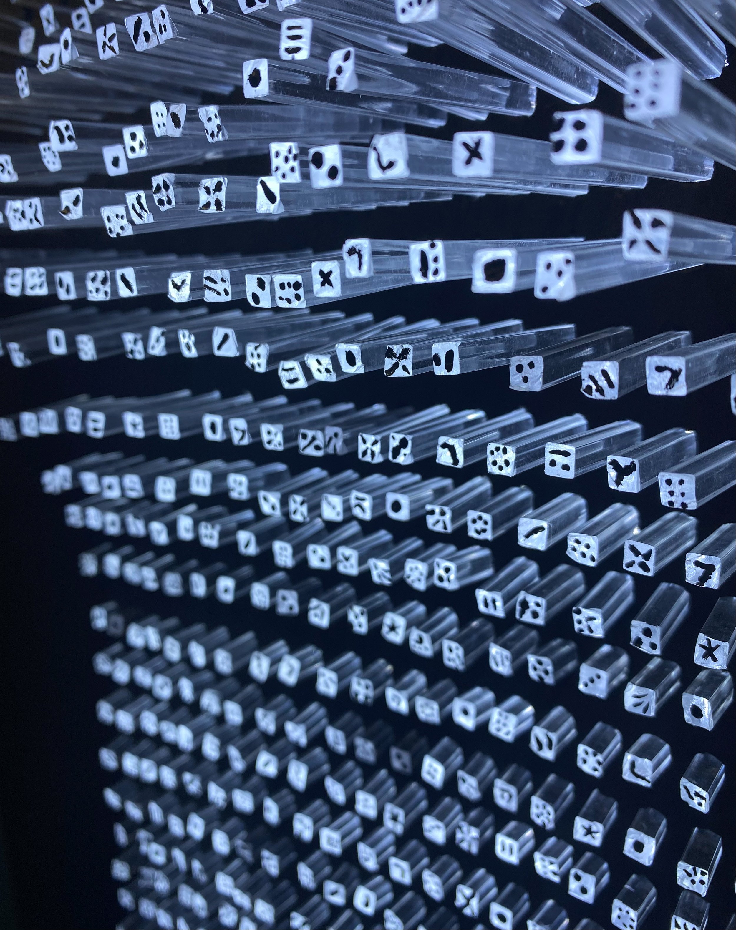 Close-up view of multiple acrylic rods with dark small seeds at the ends, arranged on transparent plastic racks in an organized pattern, with a dark background.