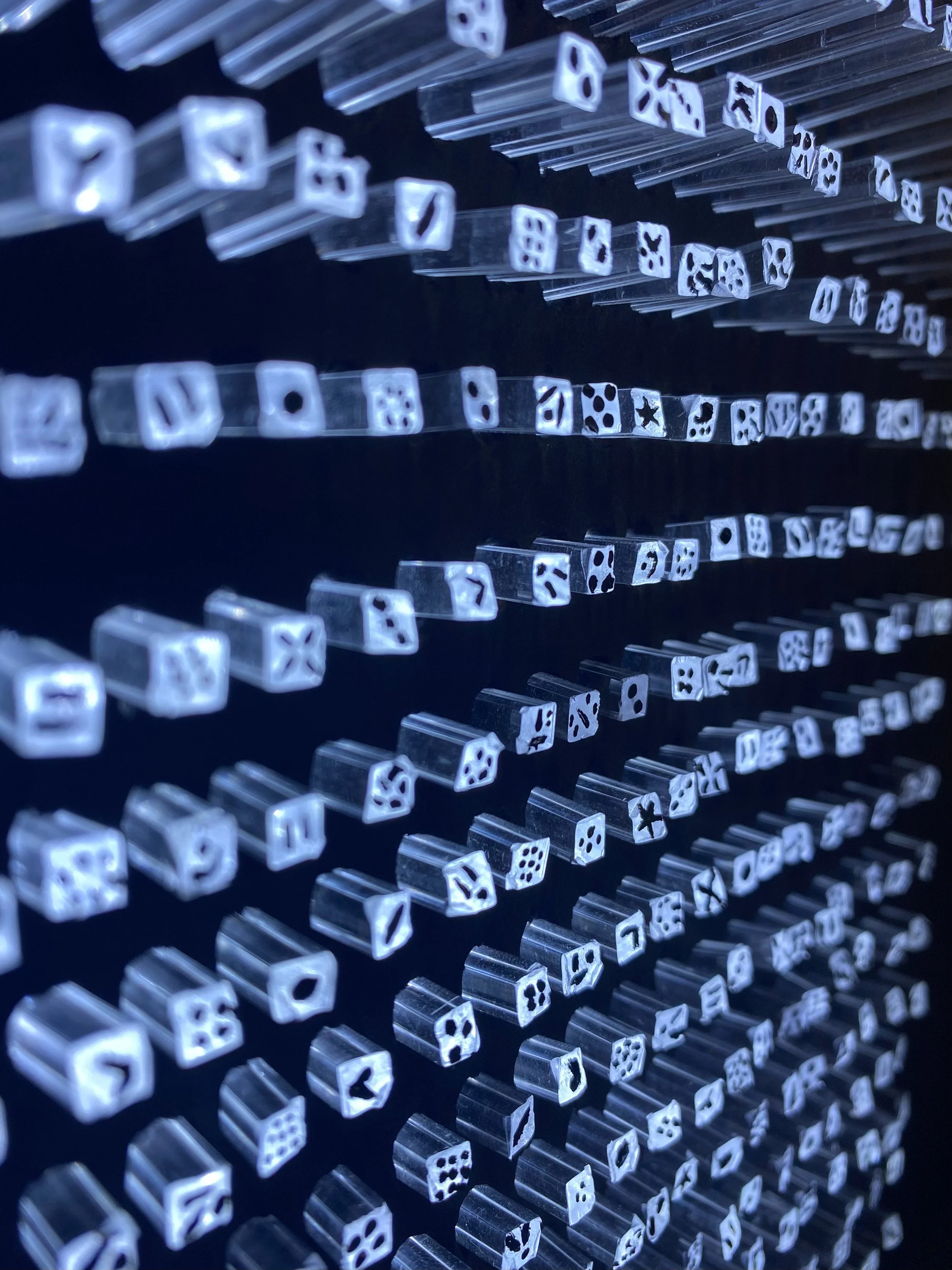 Close-up of multiple transparent acrylic rods arranged vertically with white dice-shaped objects at the ends of the rods, depicting various types of seeds, viewed from below against a dark background.