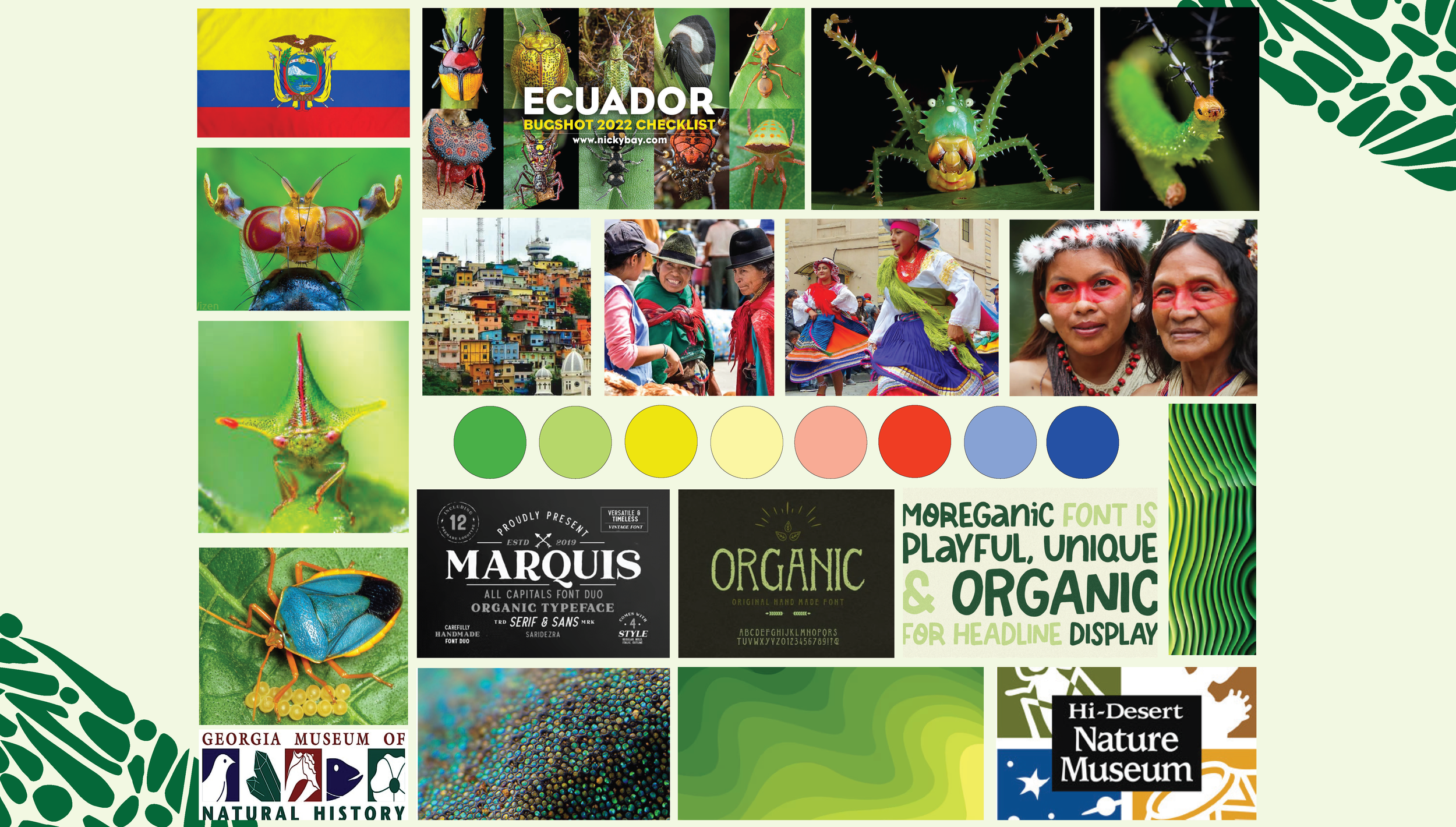 A collage or moldboard of images and text related to Ecuador's biodiversity, culture, and museums, including various colorful insects, humans in traditional clothing, a landscape cityscape, and logos of museums and fonts.