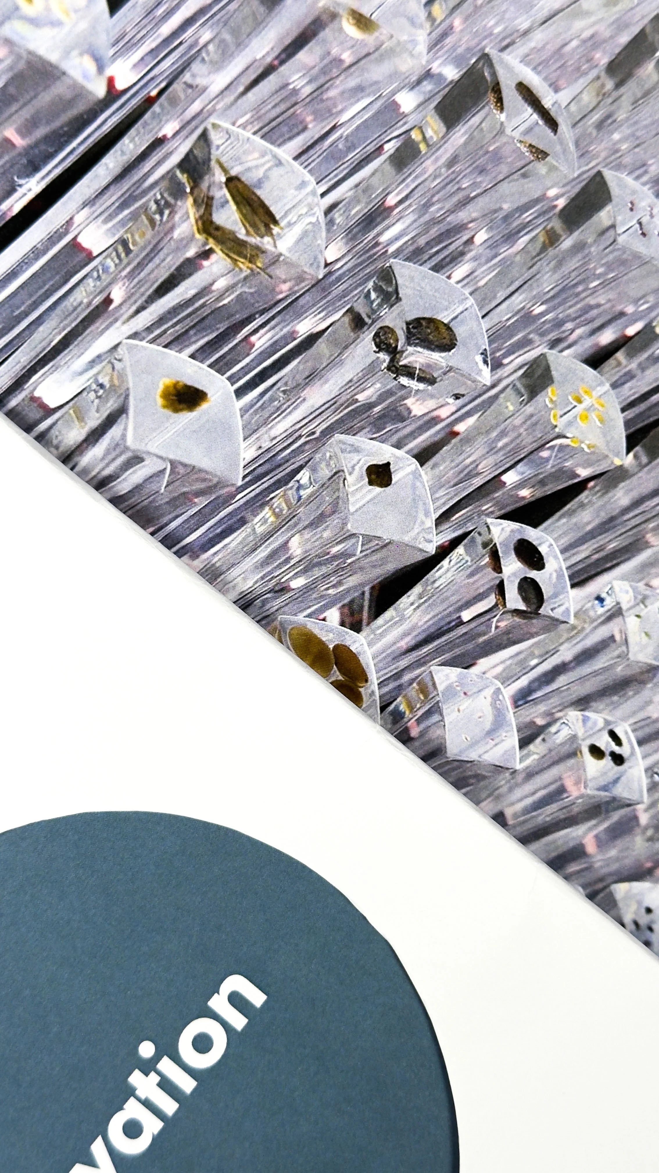 Close-up of a display of various small specimens or samples in clear plastic rods with seeds, arranged in rows on a surface, with part of a white cut out showing 'innovation' behind a blue background.