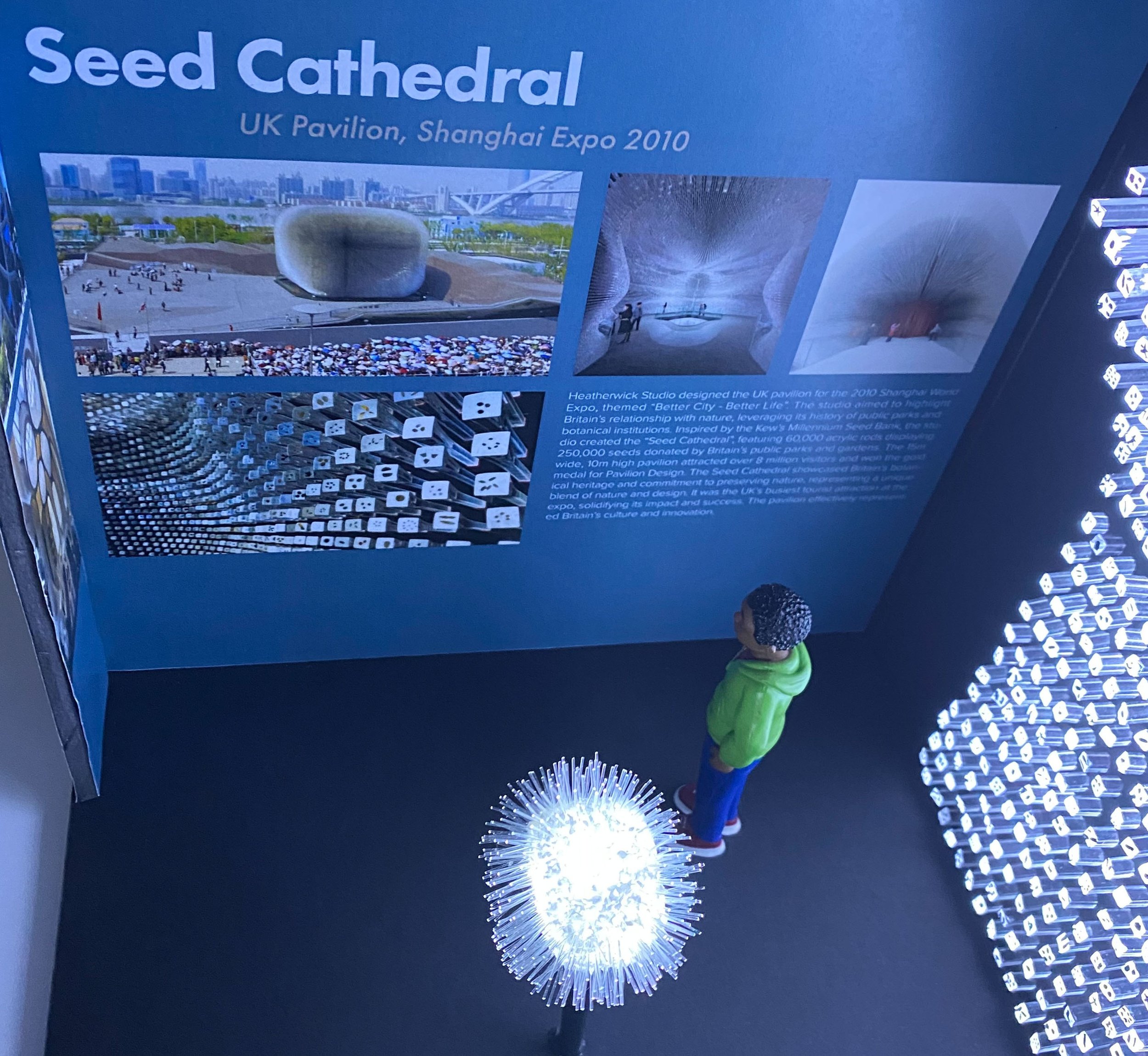 Photo of a large blue informational wall for the Seed Cathedral exhibit at the 2010 Shanghai Expo, featuring photos of the pavilion's design and artistic displays, with a child in a neon green jacket and black hat standing nearby and reading the wall