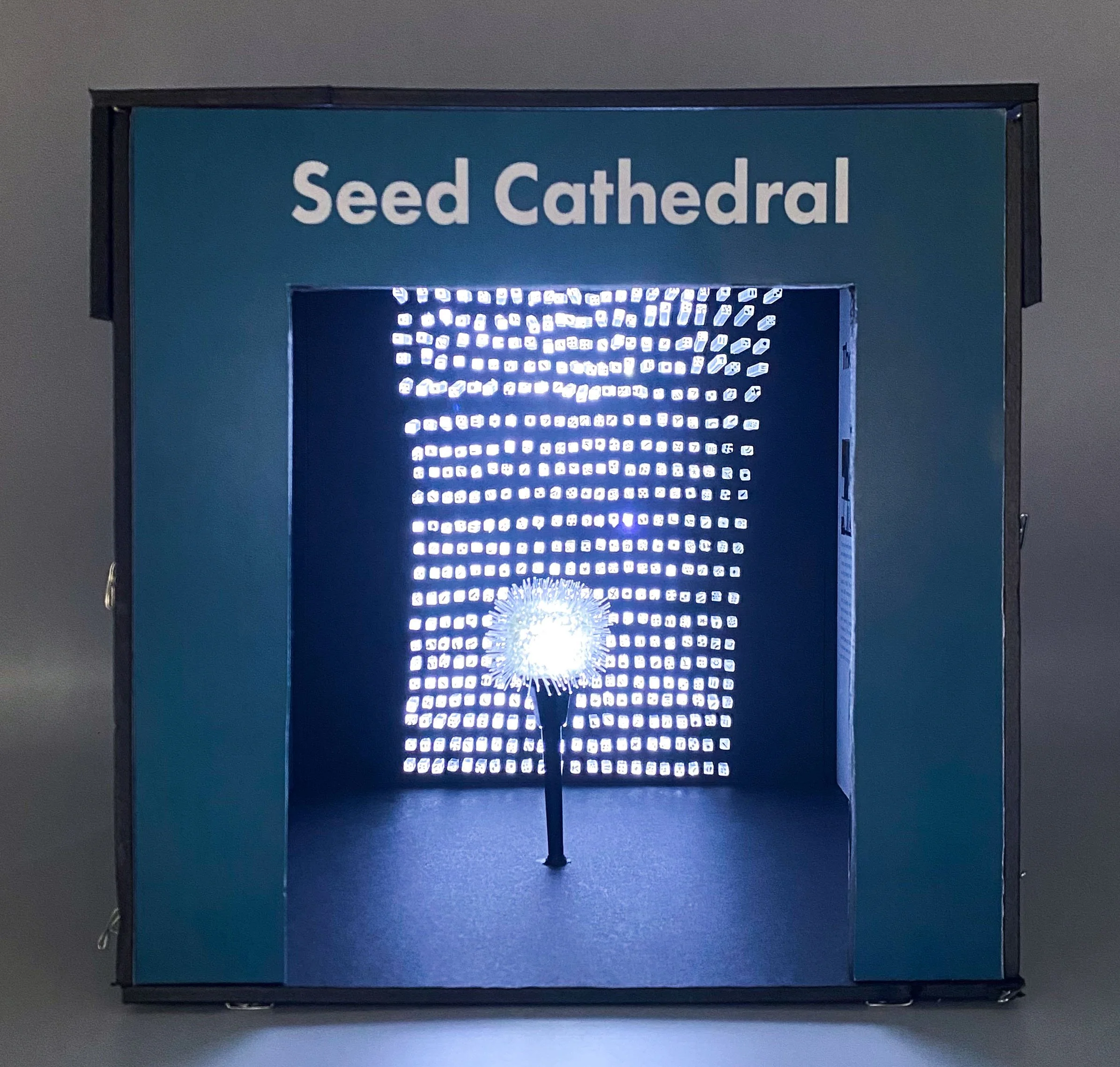 A house structure with a blue frame that reads 'Seed Cathedral' in white. The inside of the box displays glowing bright white dots in complete darkness while a medium sized dandelion-like structure glows brightly white in the center of the structure.