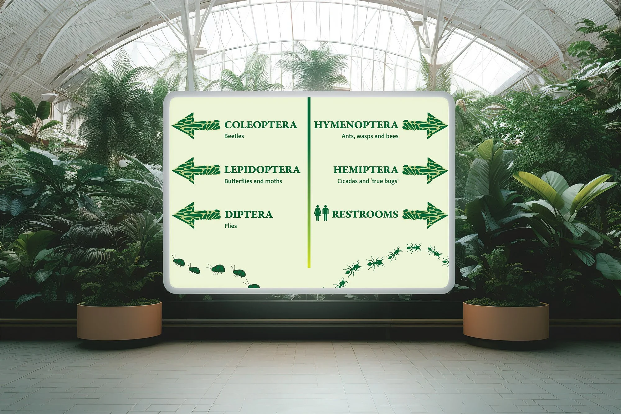 Signboard in a greenhouse showing insect classifications: Coleoptera (beetles), Lepidoptera (butterflies and moths), Diptera (flies), Hymenoptera (ants, wasps, bees), and Hemiptera (cicadas and true bugs), with arrows pointing in various directions surrounded by lush green plants.