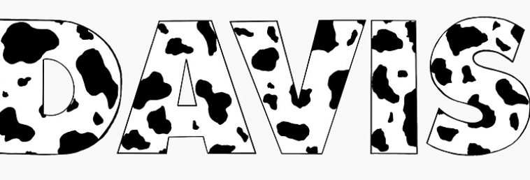Text reading 'DAVIS' with a cow print pattern