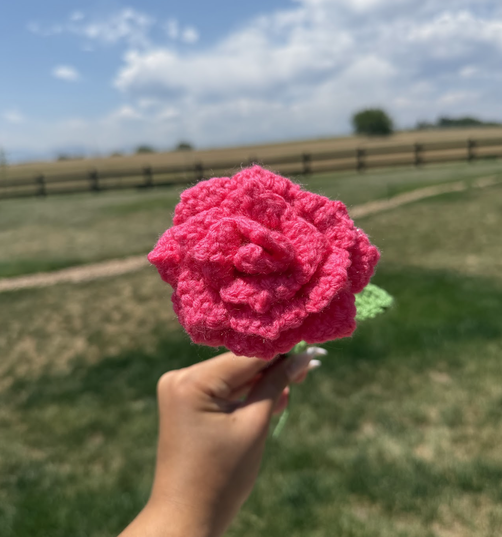 Roses