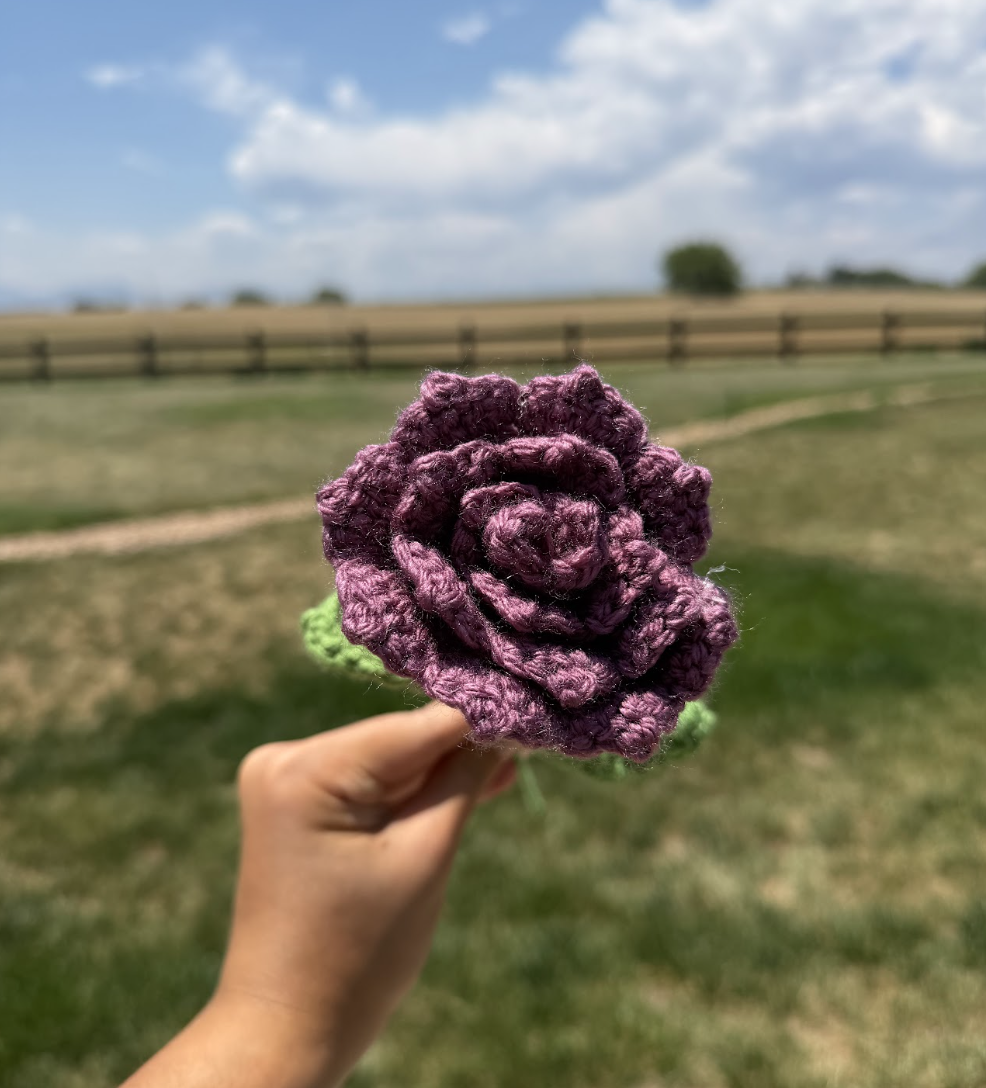 Roses