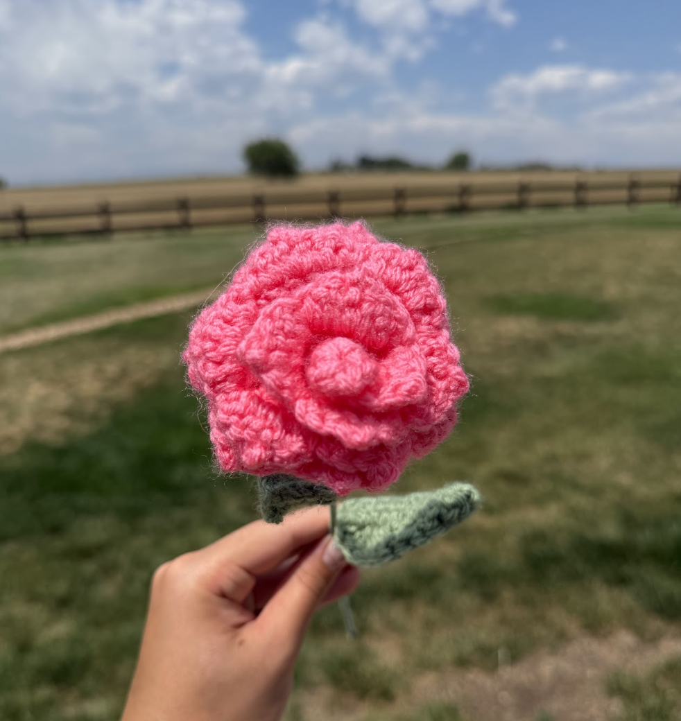 Roses