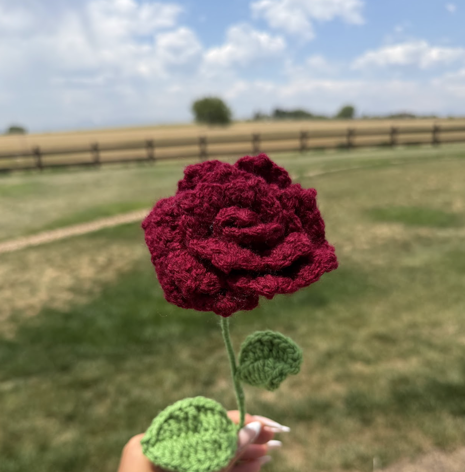 Roses