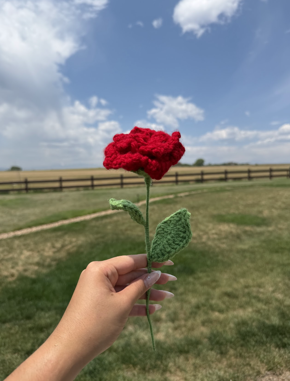Roses