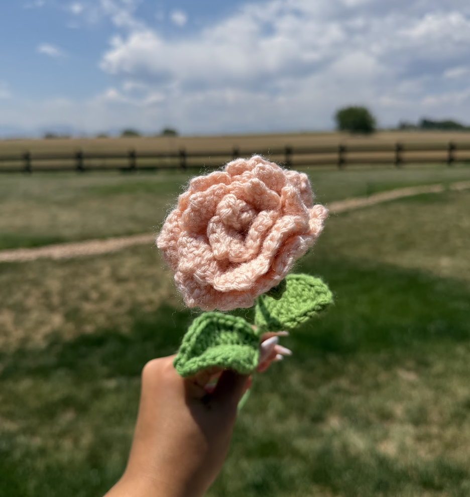 Roses