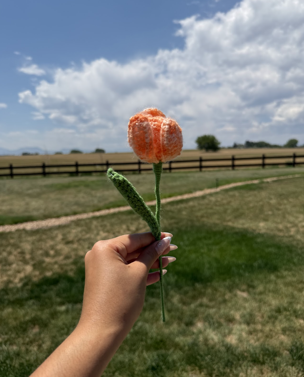 Tulips