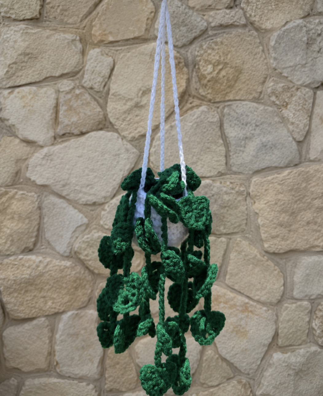Monstera Hanging Plant