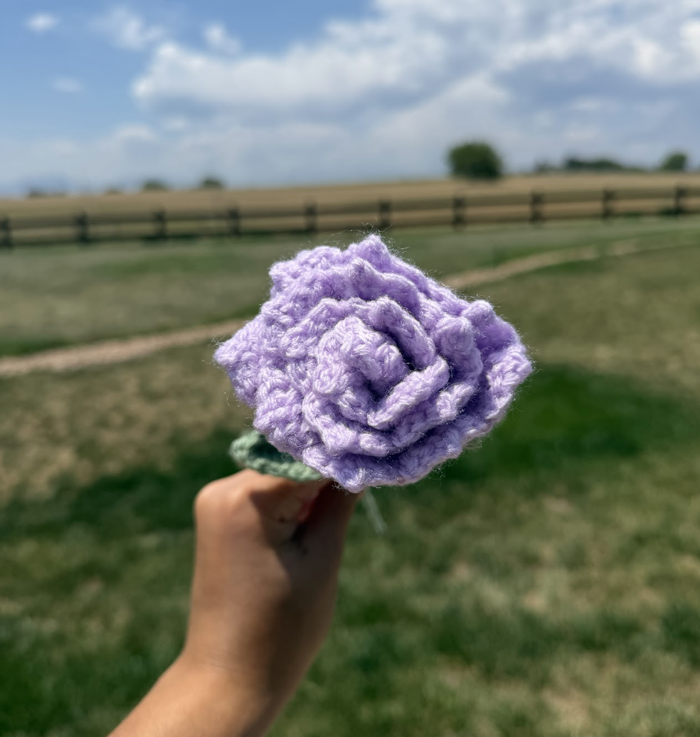Roses