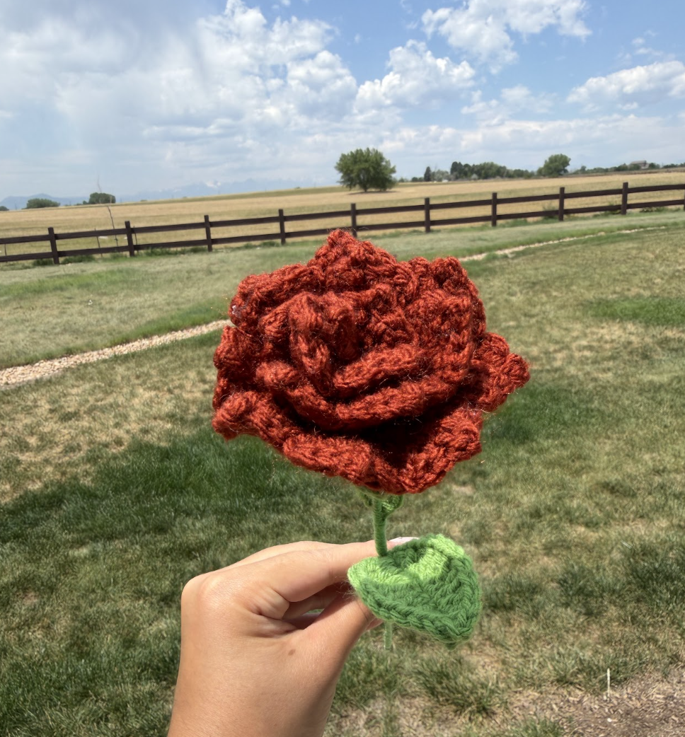 Roses