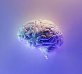 Digital illustration of a human brain glowing with blue and purple tones, set against a soft gradient background.
