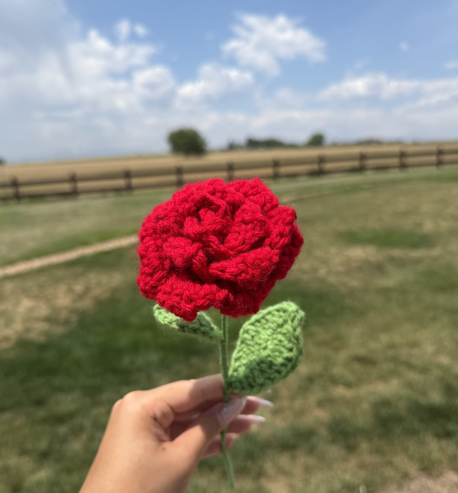 Roses