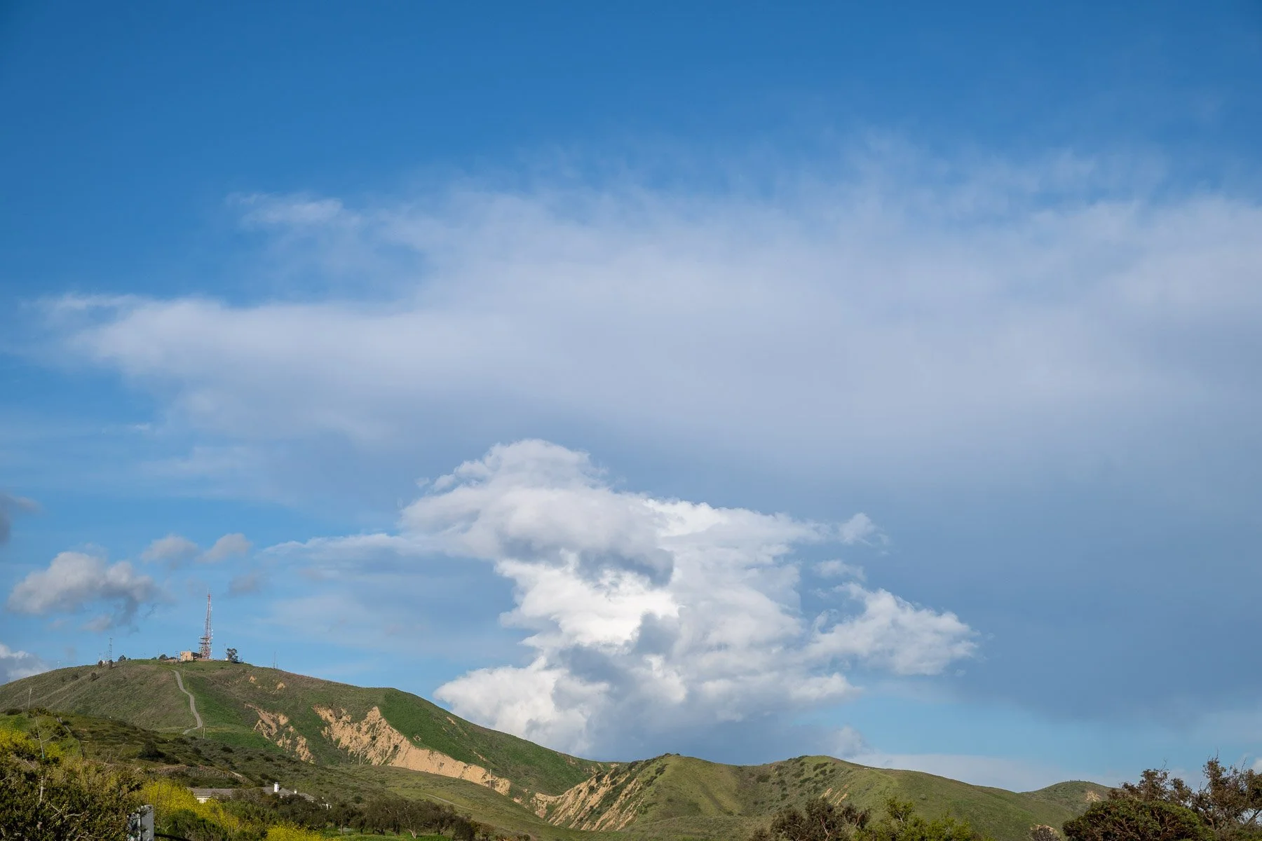 06.24.26_Ventura .jpg