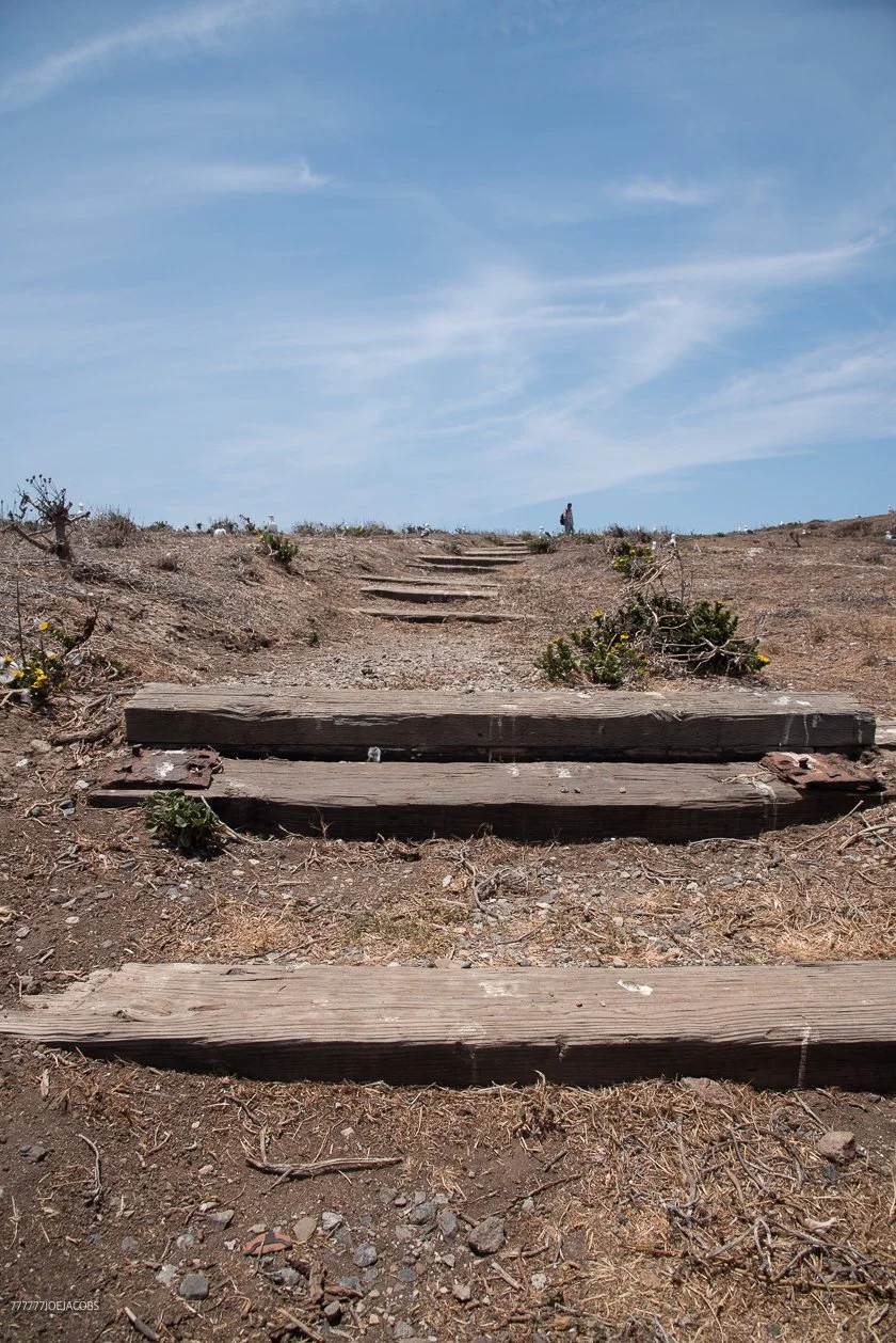 ANACAPA HIKING