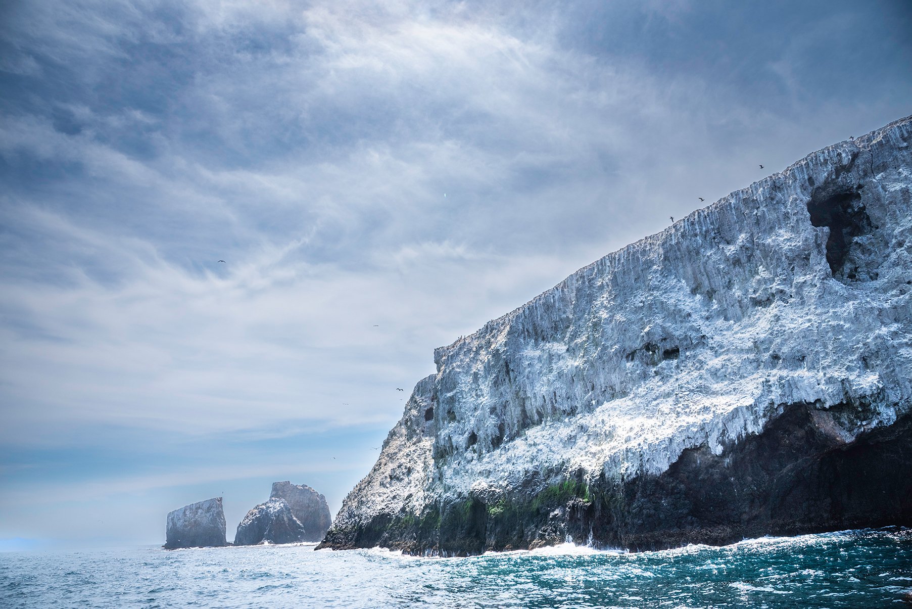 Coastal Cliff Serenity Canvas Print-COMING SOON NOT FOR SALE