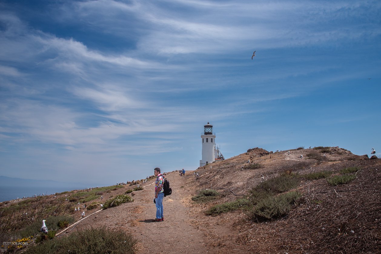 06.26.226_ANACAPA .ISLAND..10.WEB_.jpg