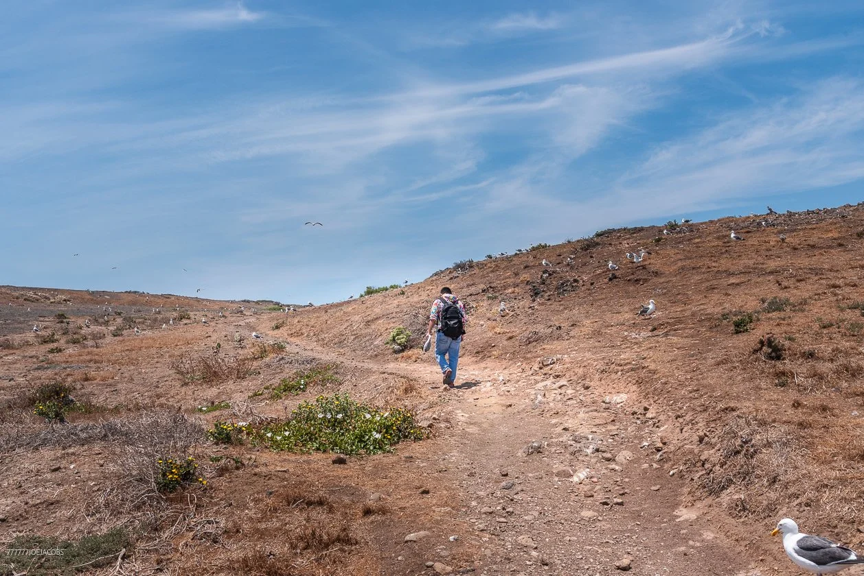 ANACAPA HIKING 