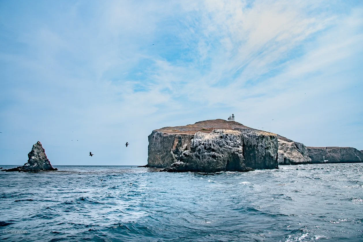 ANACAPA ISLAND 